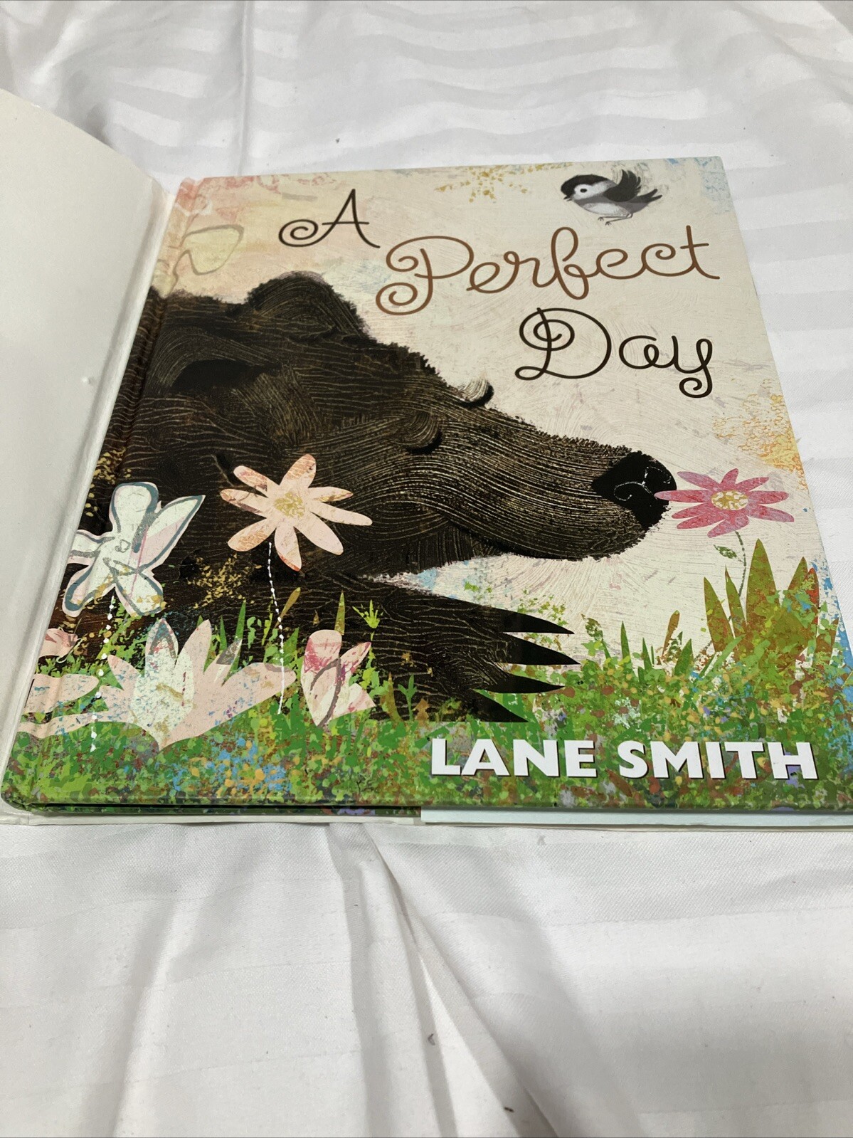 Perfect Day by Lane Smith (2017, Hardcover)