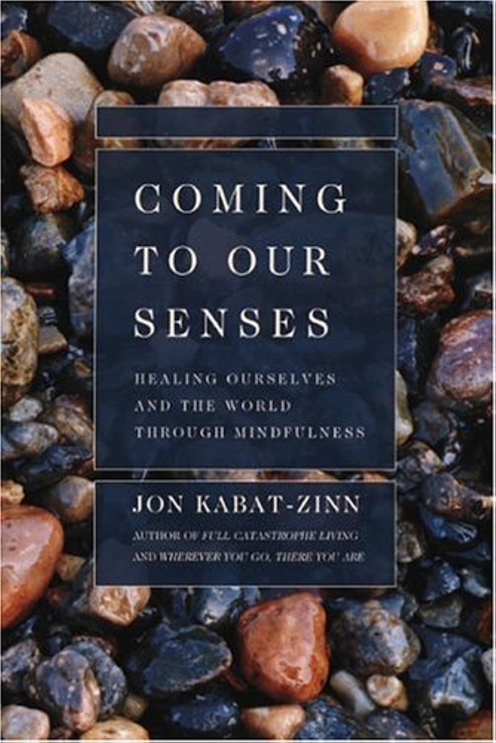 Coming to Our Senses: Healing Ourselves and the World Through Mindfulness – …