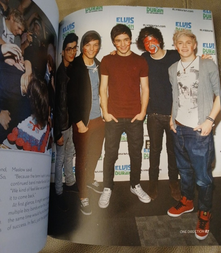 Rare One Direction Book Lot