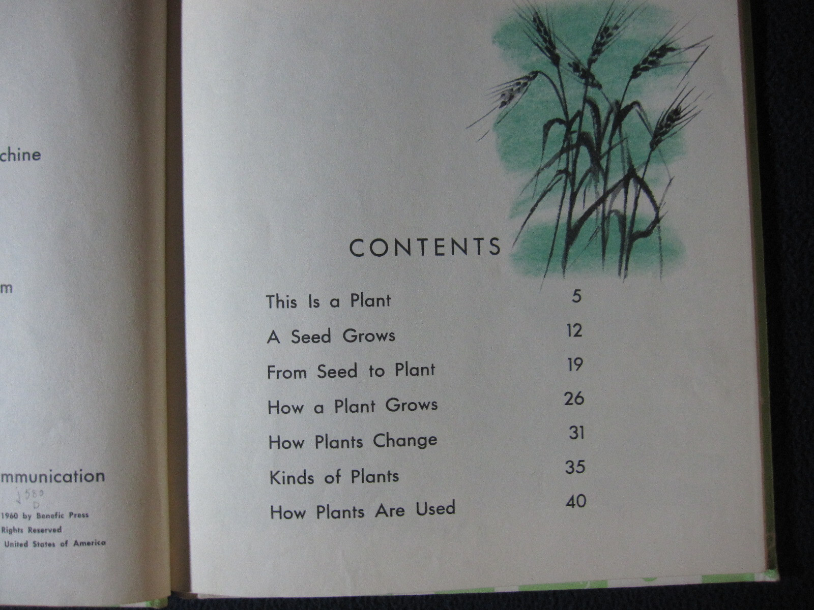 What is a Plant (The What is it series) Darby, Gene