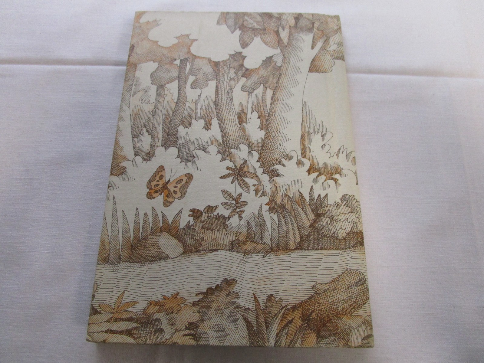 Vintage 1976 Turtle’s Shell – Hardcover Murdocca, Sal Rare