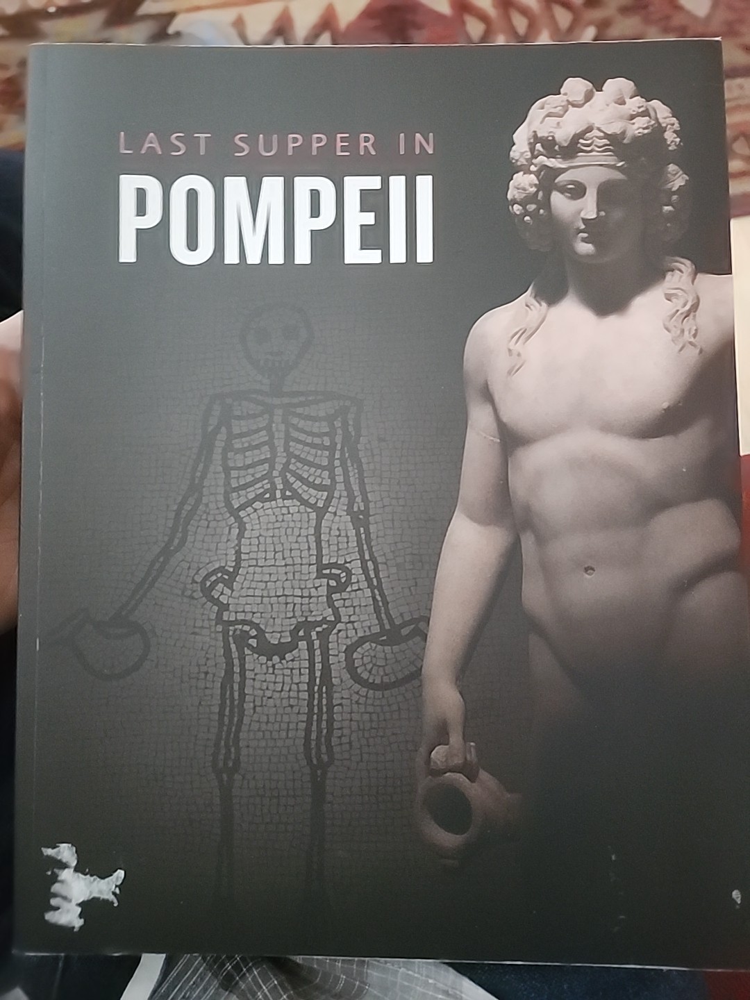 Last Supper in Pompeii by Paul Roberts (2019, Trade Paperback)