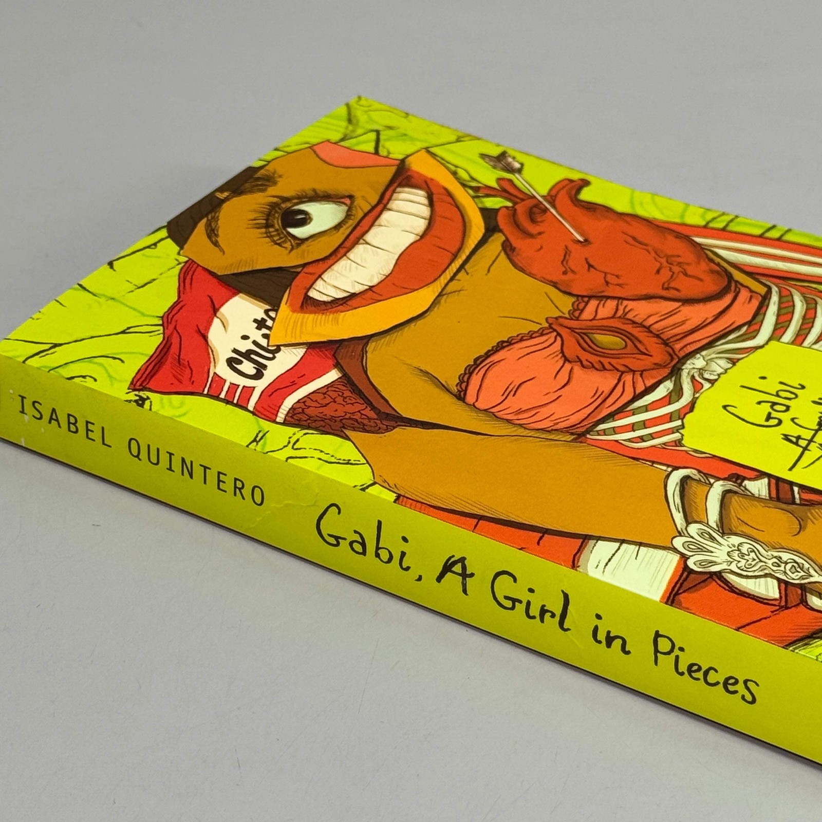 GABI A Girl In Pieces by Isabel Quintero 8″ x 5″ Green 51695
