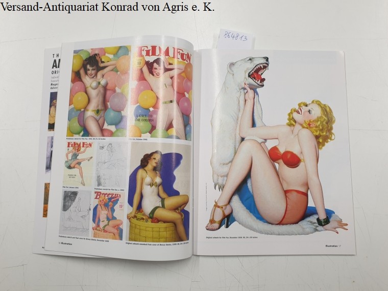 Illustration : Issue Number Nine : Zimmer, Daniel (Hrsg.):