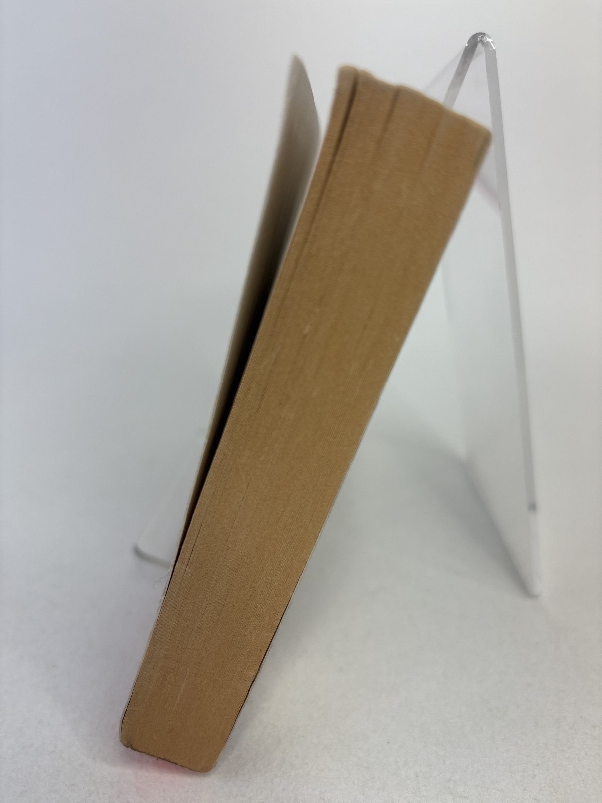 The Stone Diaries By Carol Shields