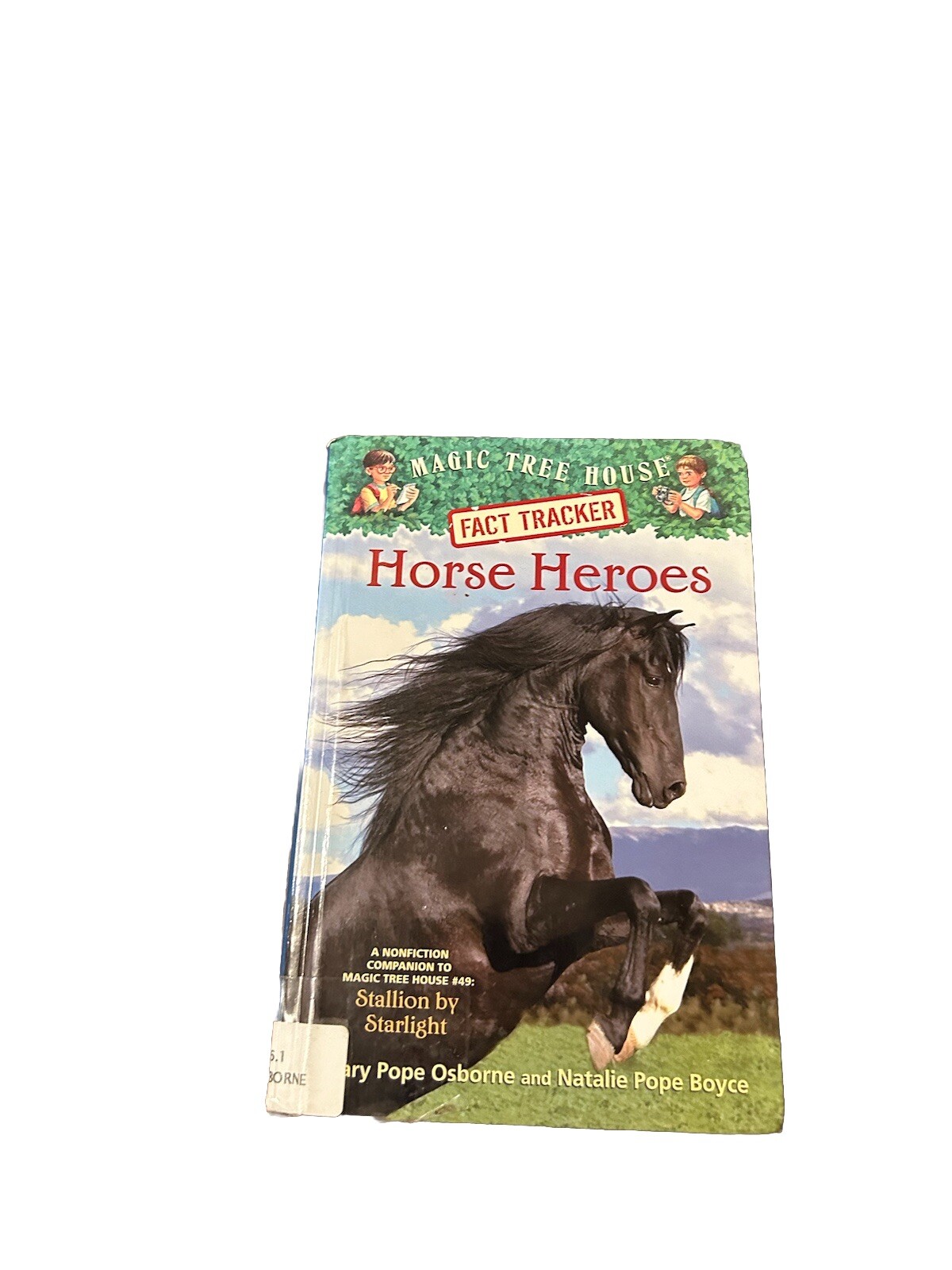Horse Heroes: Stallion Starlight – Natalie Pope Boyce & Mary Pope Osborne Magic