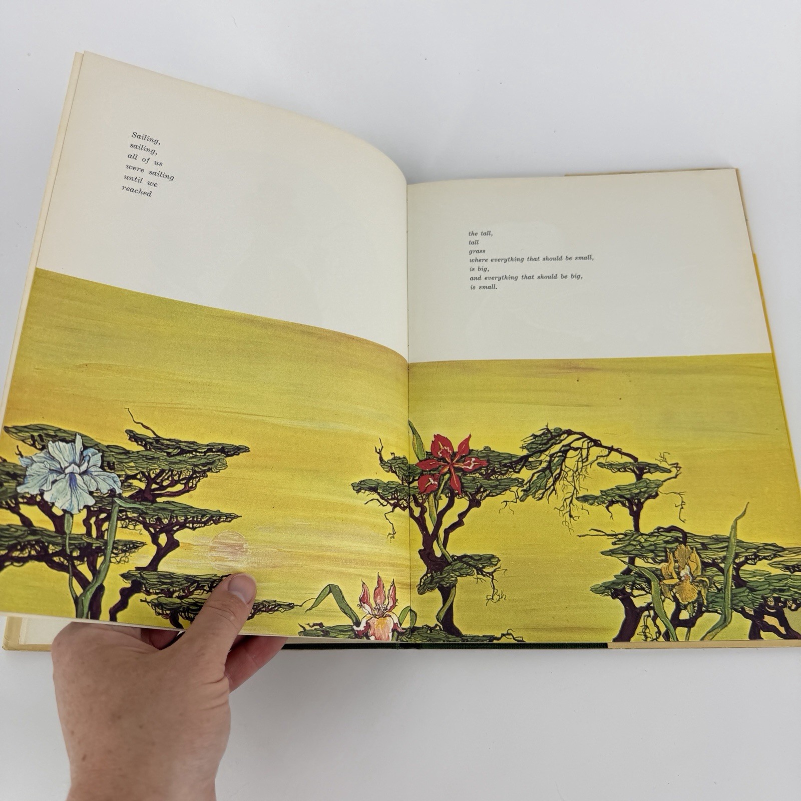 SIGNED Tiger Flower by Robert Vavra 1973, HC Around Flour Cowles’ Paintings 1st