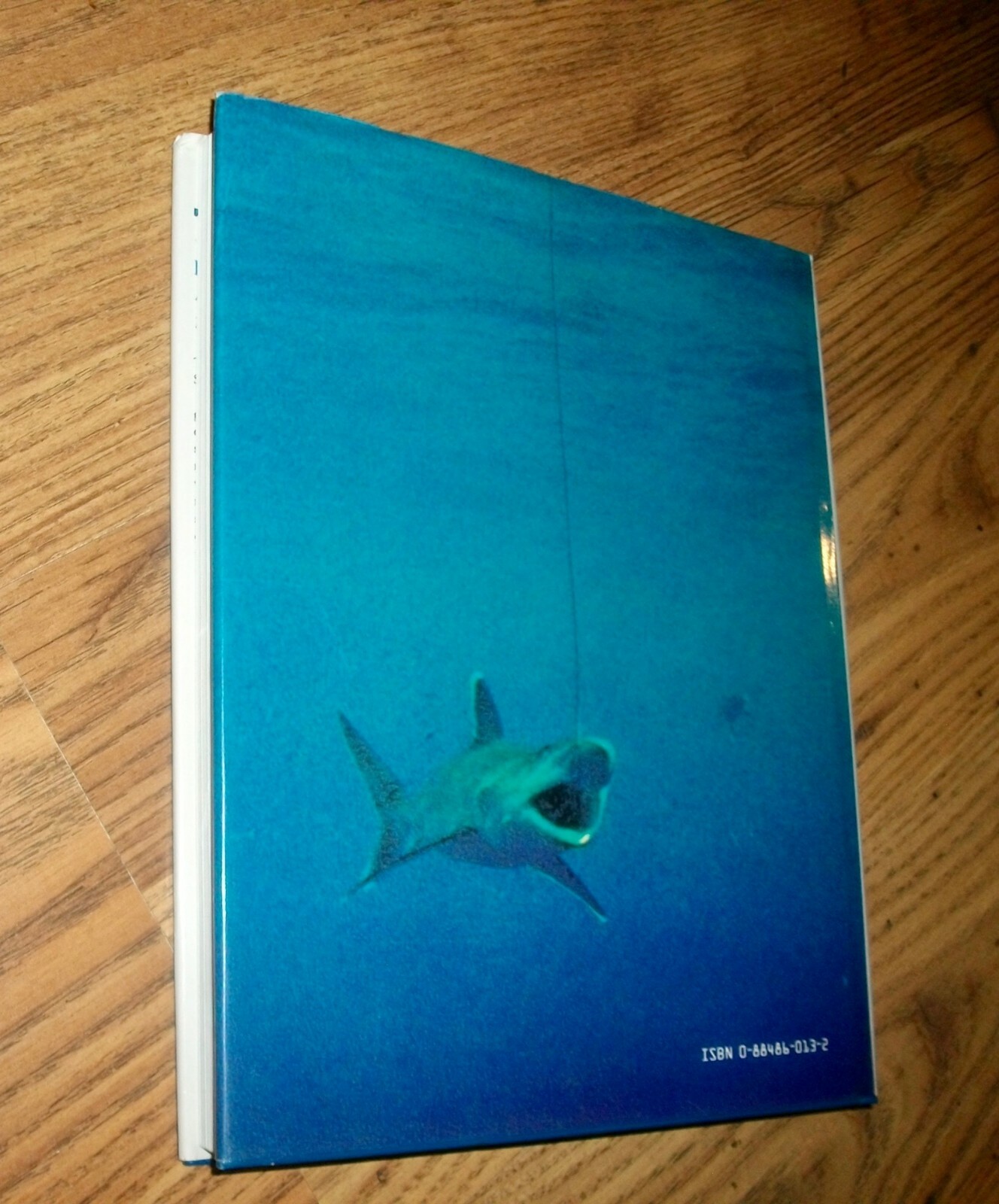 The Shark, by Jacques & Philippe Cousteau, HBDJ, 1987, 124 color photos, Nice!