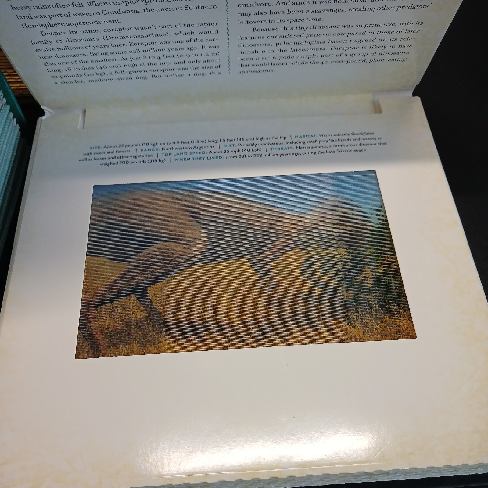 Ocean: A Photicular Book – Hardcover, by Kainen Dan; Kaufmann Carol – Very Good