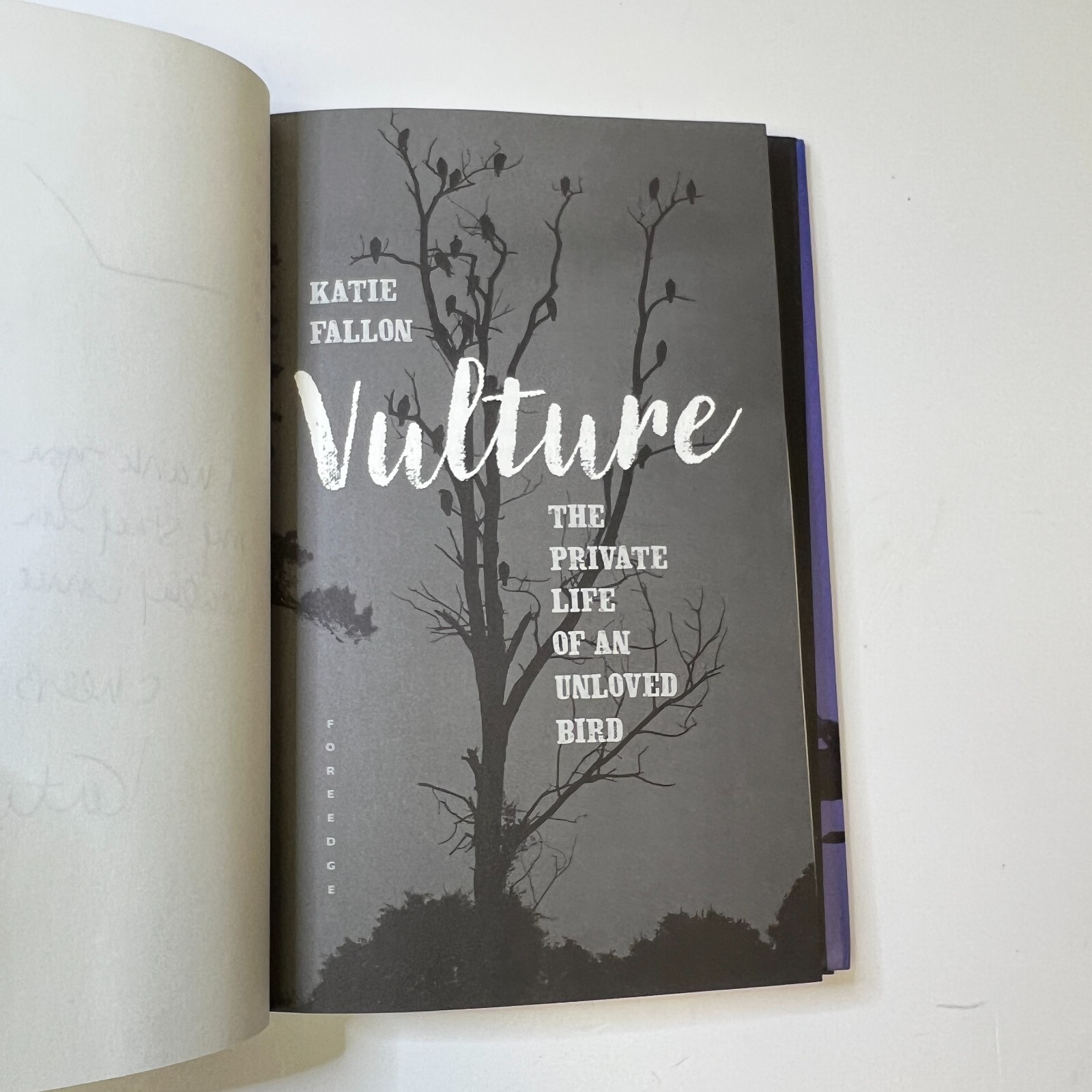 Vulture The Private Life of an Unloved Bird Hardcover Katie Fal