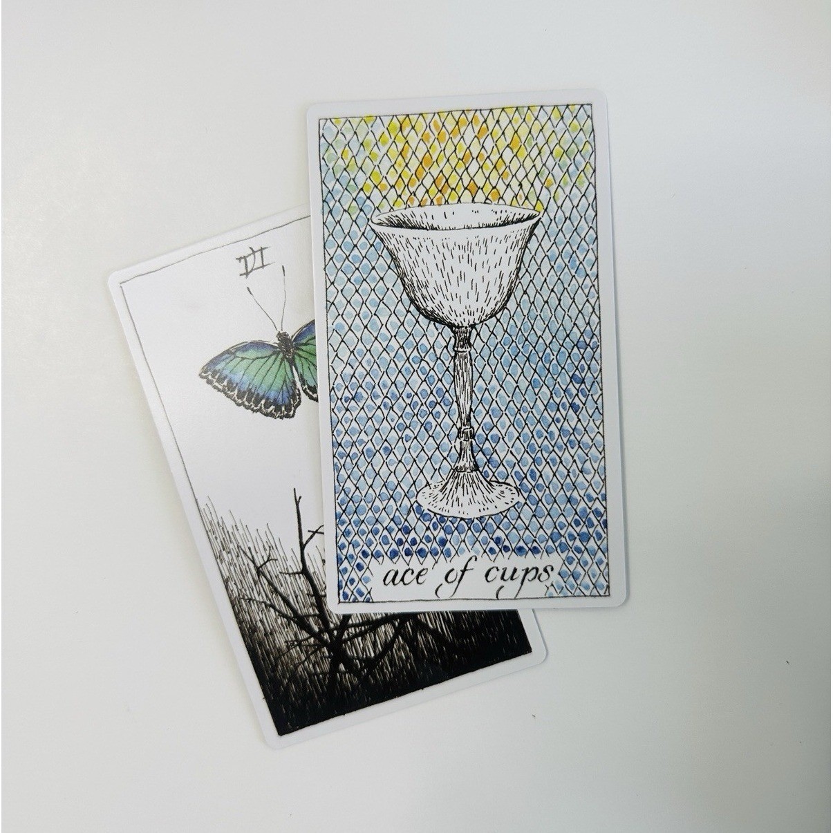 The Wild Unknown Tarot Deck by Kim Krans Complete w/ Guidebook Box Set Spiritual