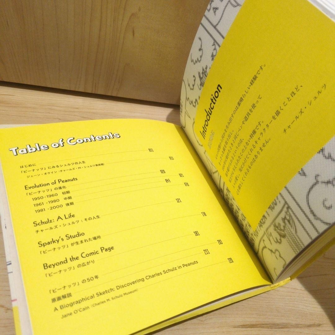 Catalog of the 2013 Snoopy Exhibition Art of Peanuts 223 Pages Japan
