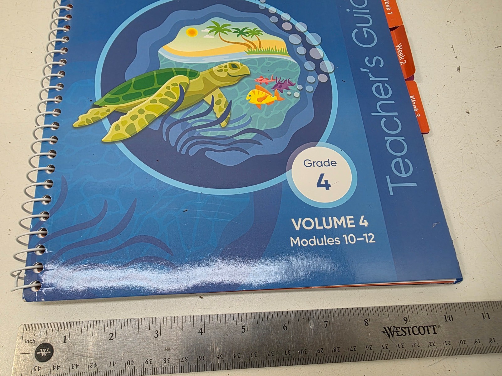 HMH Into Reading, Grade 4, Volume 4 (10-12) – Spiral by Alma Flor Ada