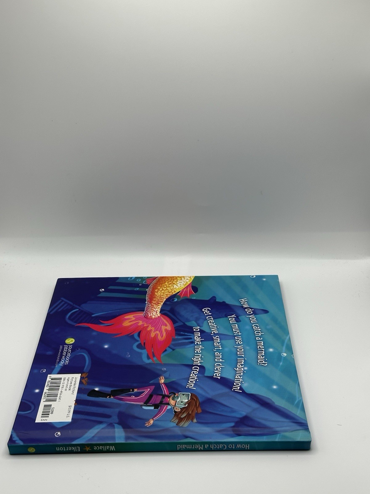 How to Catch a Mermaid by Adam Wallace & Andy Elkerton