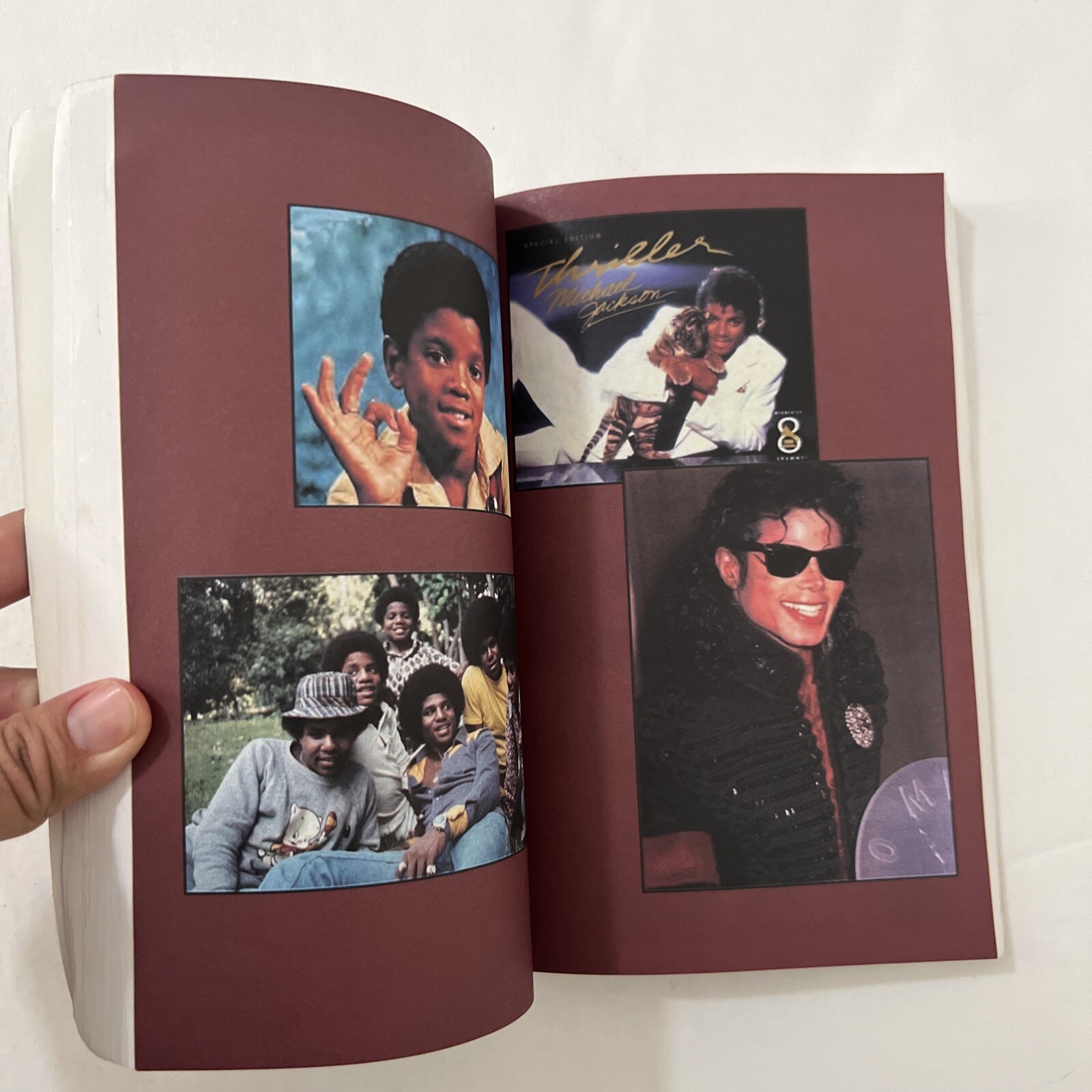 Michael Jackson: The King of Pop An Anthology by Jel D. Lewis (Jones) Paperback