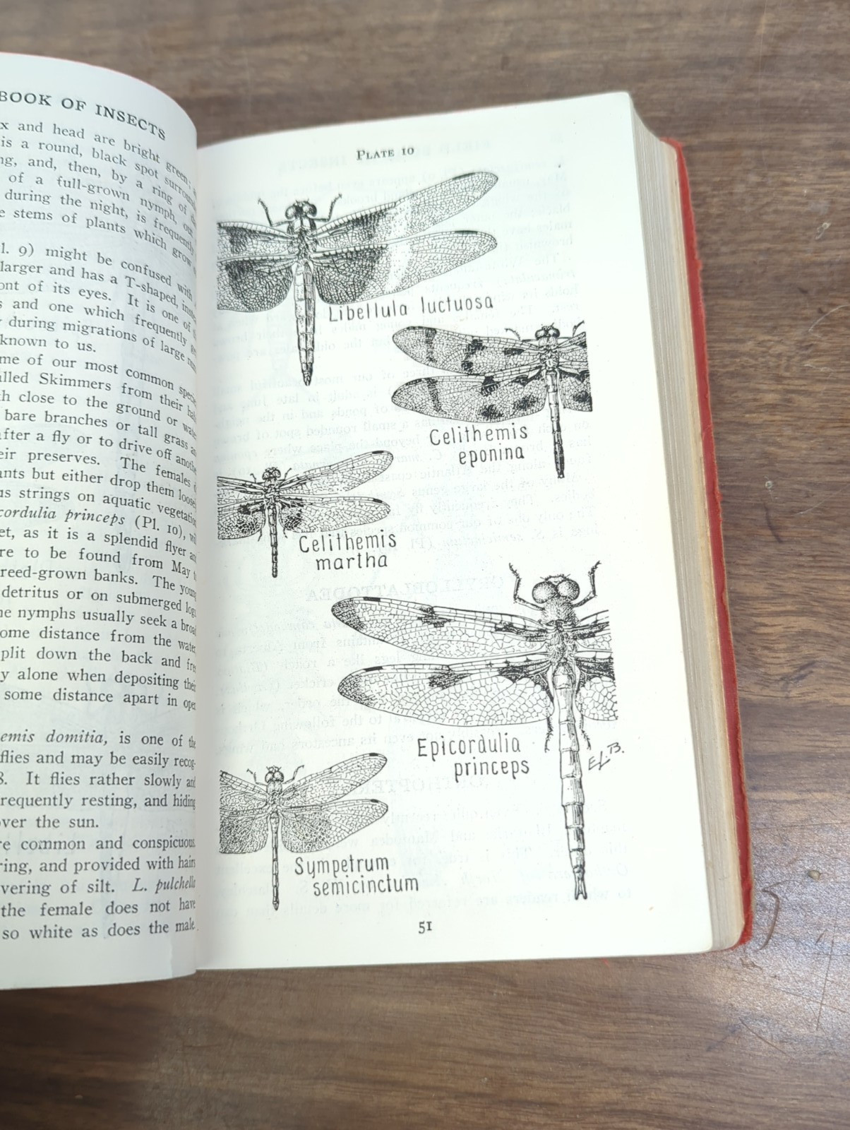 Field Book of INSECTS 1948 Revised Edition by Frank E.Lutz, – Ex Library
