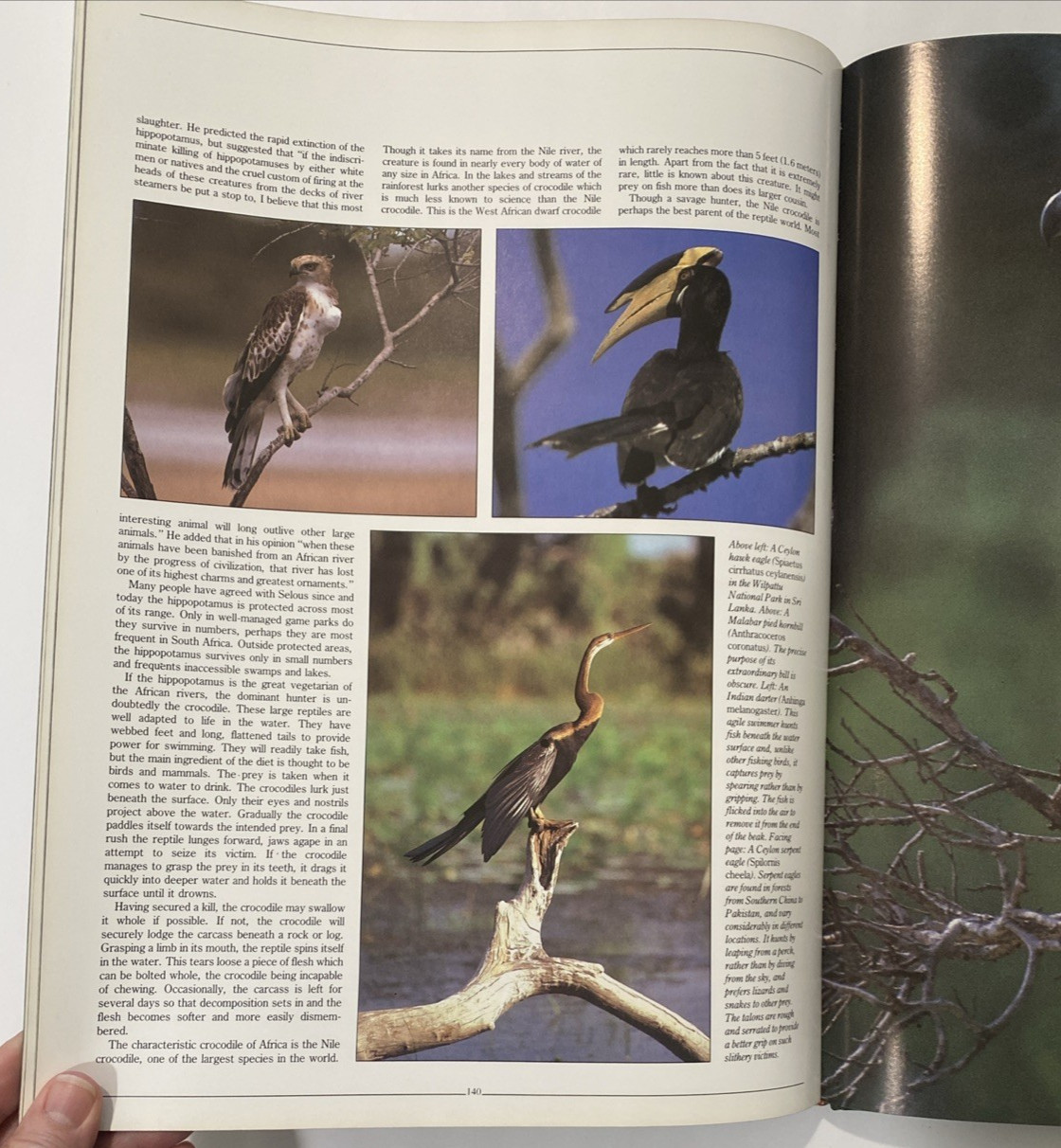 Tropical Rainforests of the World Rupert Matthews Nature Wildlife Photography