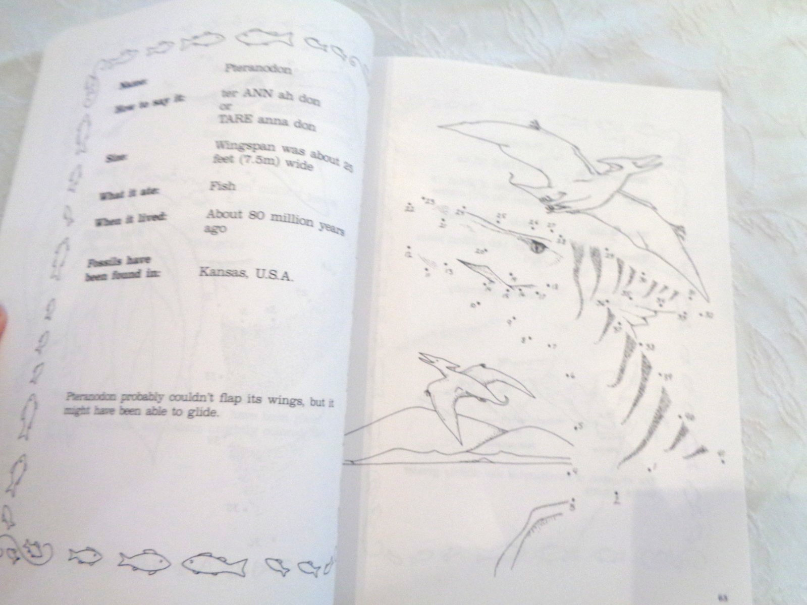 Great Book of Prehistoric Animal Dot to Dot For Adults-340 Pages!