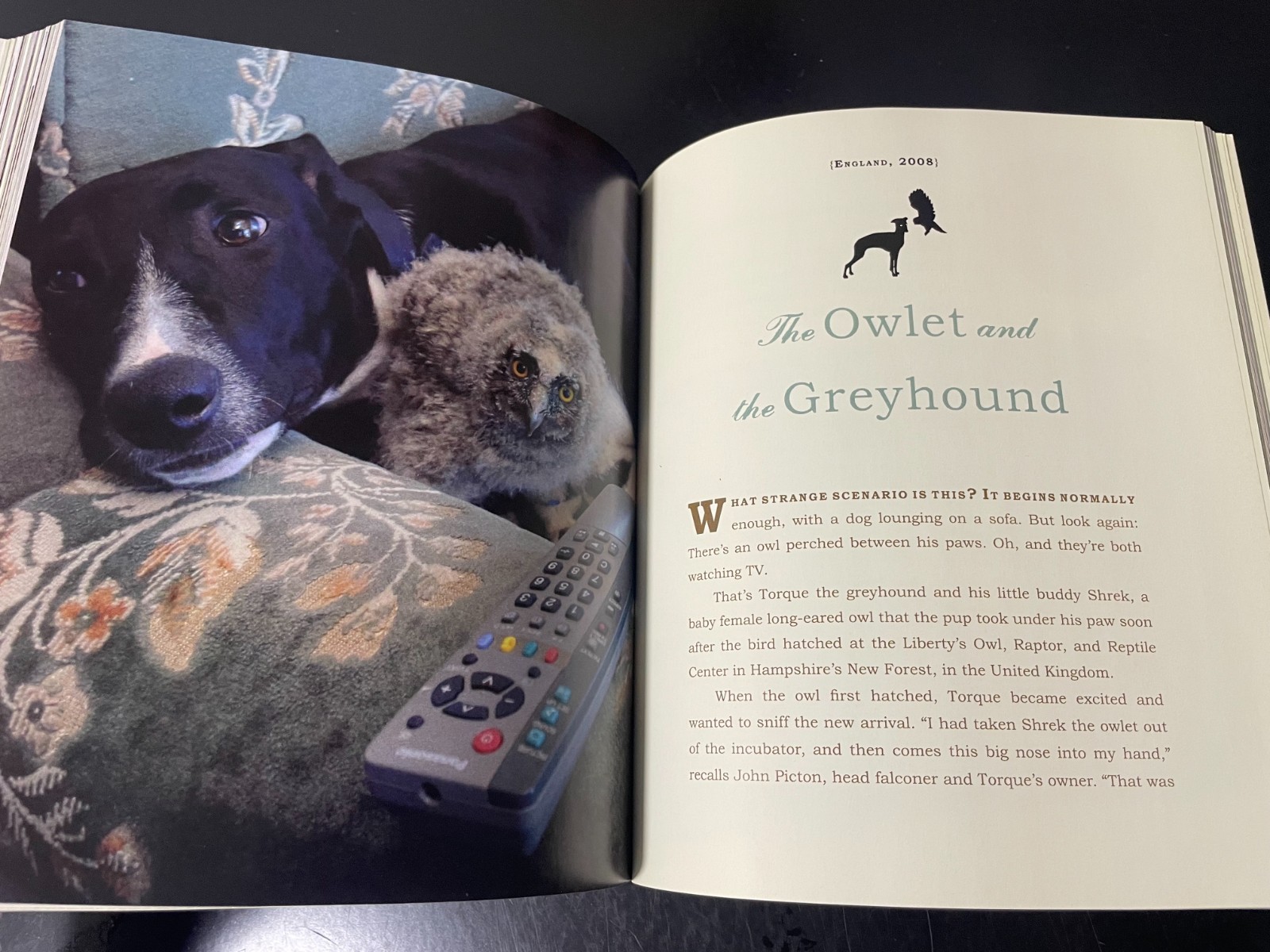 UNLIKELY FRIENDSHIPS BY JENNIFER S. HOLLAND 47 STORIES FROM THE ANIMAL KINGDOM
