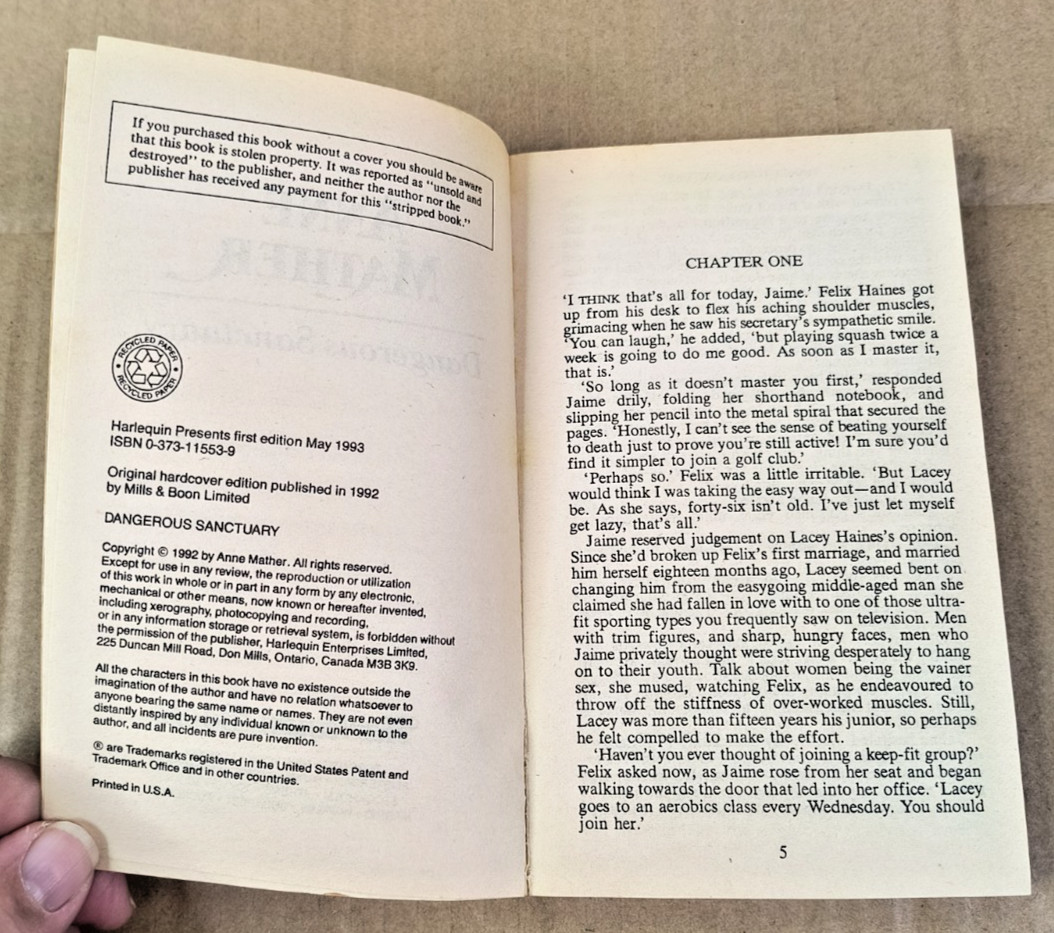 Anne Mather, Dangerous Sanctuary, Paperback 1993