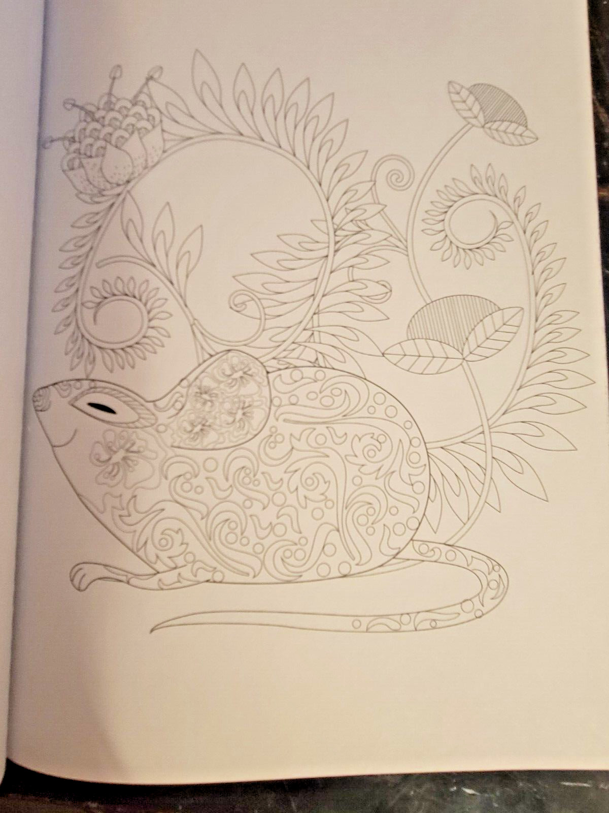 COLORS OF THE WILD Vol. 23 Adult Coloring Book With 47 Prints Ready To Frame!