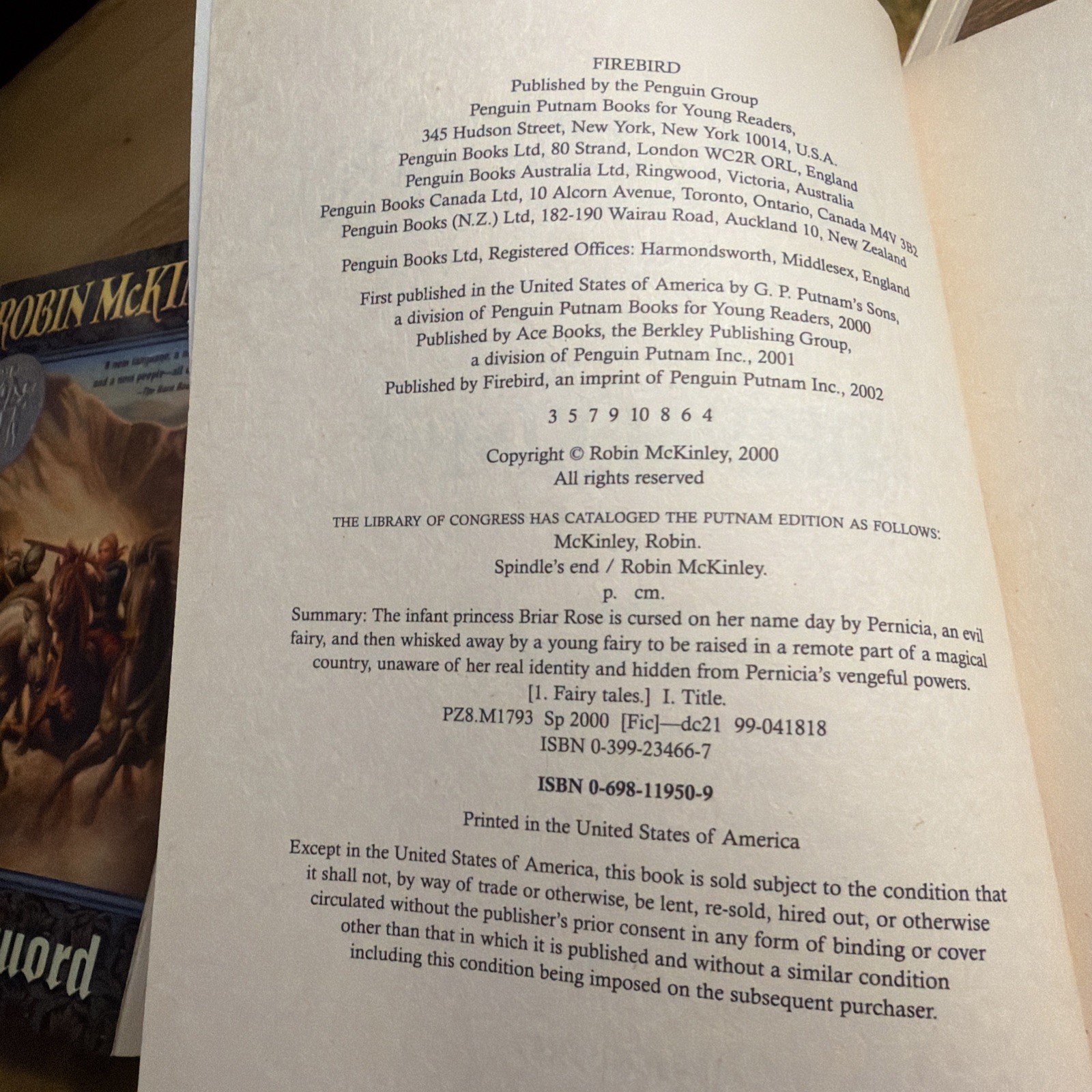 Robin McKinley Collection by Robin McKinley (2002) Spindle’s End Blue Sword Hero