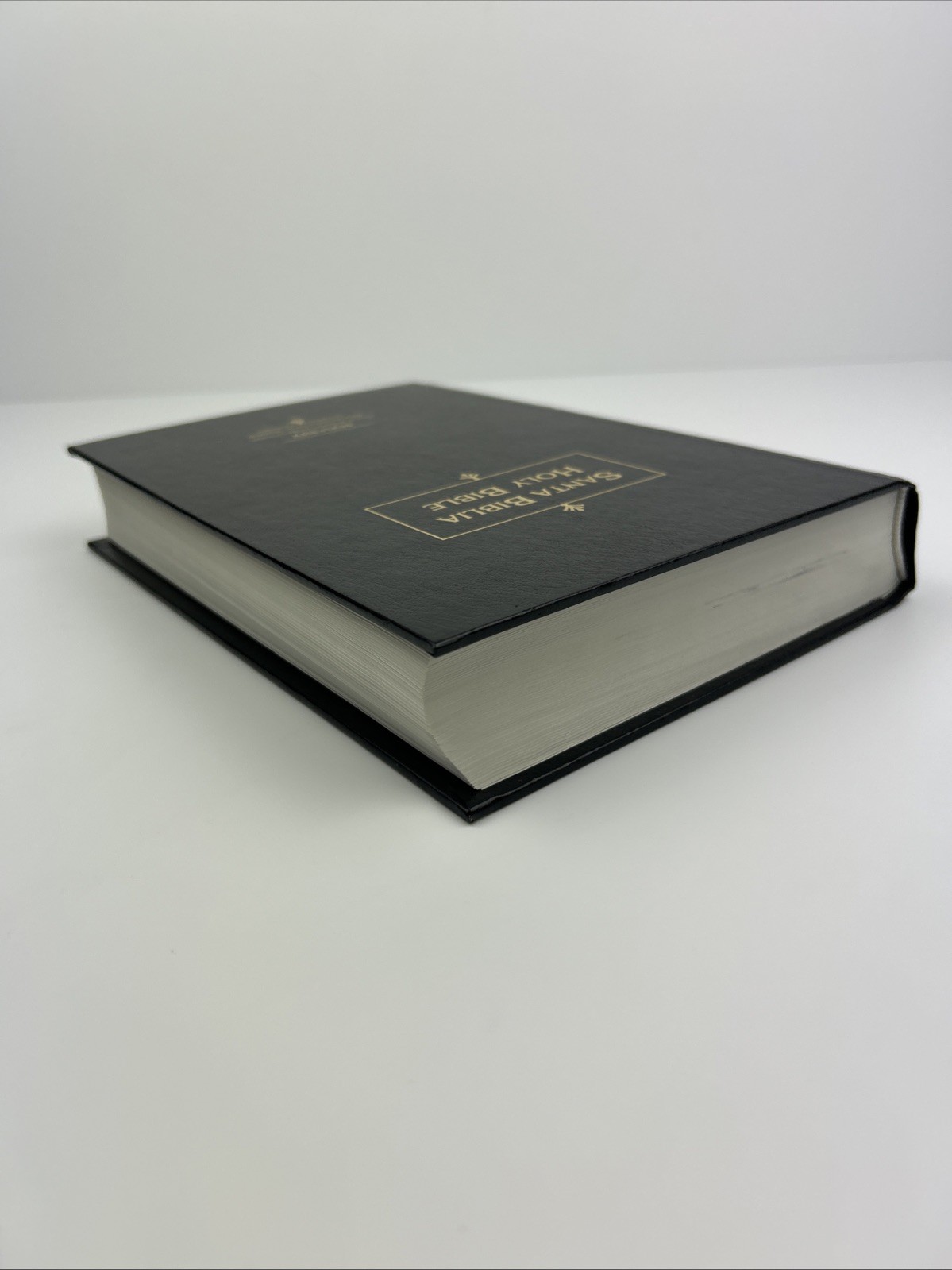 Santa Biblia Holy Bible NVI NIV New International Version Bilingual Spanish