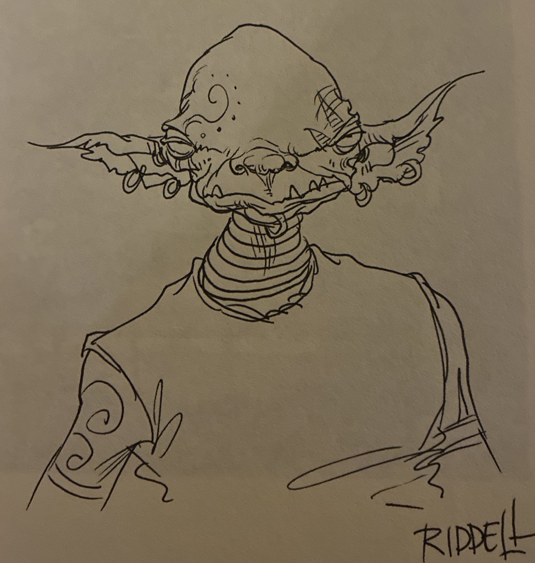 Chris Riddell SIGNED ORIGINAL SKETCH DRAWING The Edge Chronicles Freeglader OOAK