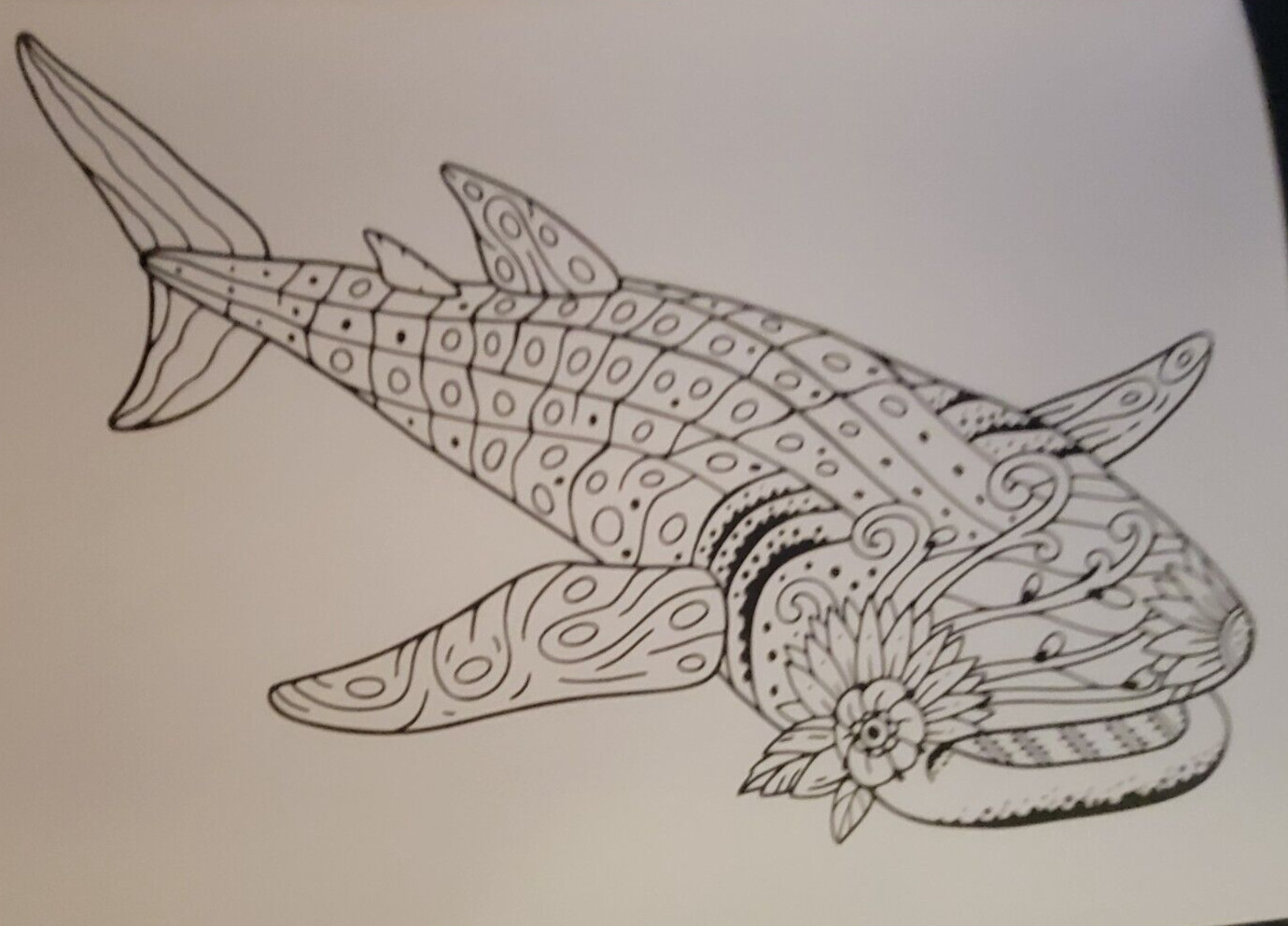 MAJESTIC CREATURES Vol 12 Adult Coloring Book With 47 Prints Ready To Frame