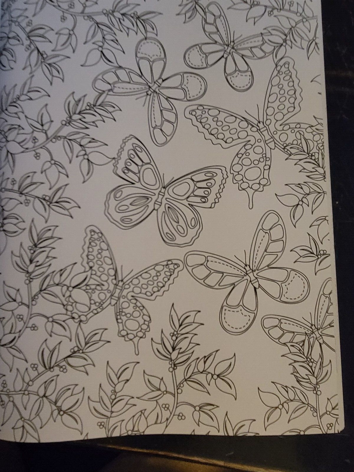 COLORS OF THE WILD Vol. 19 Adult Coloring Book With 47 Prints Ready To Frame!