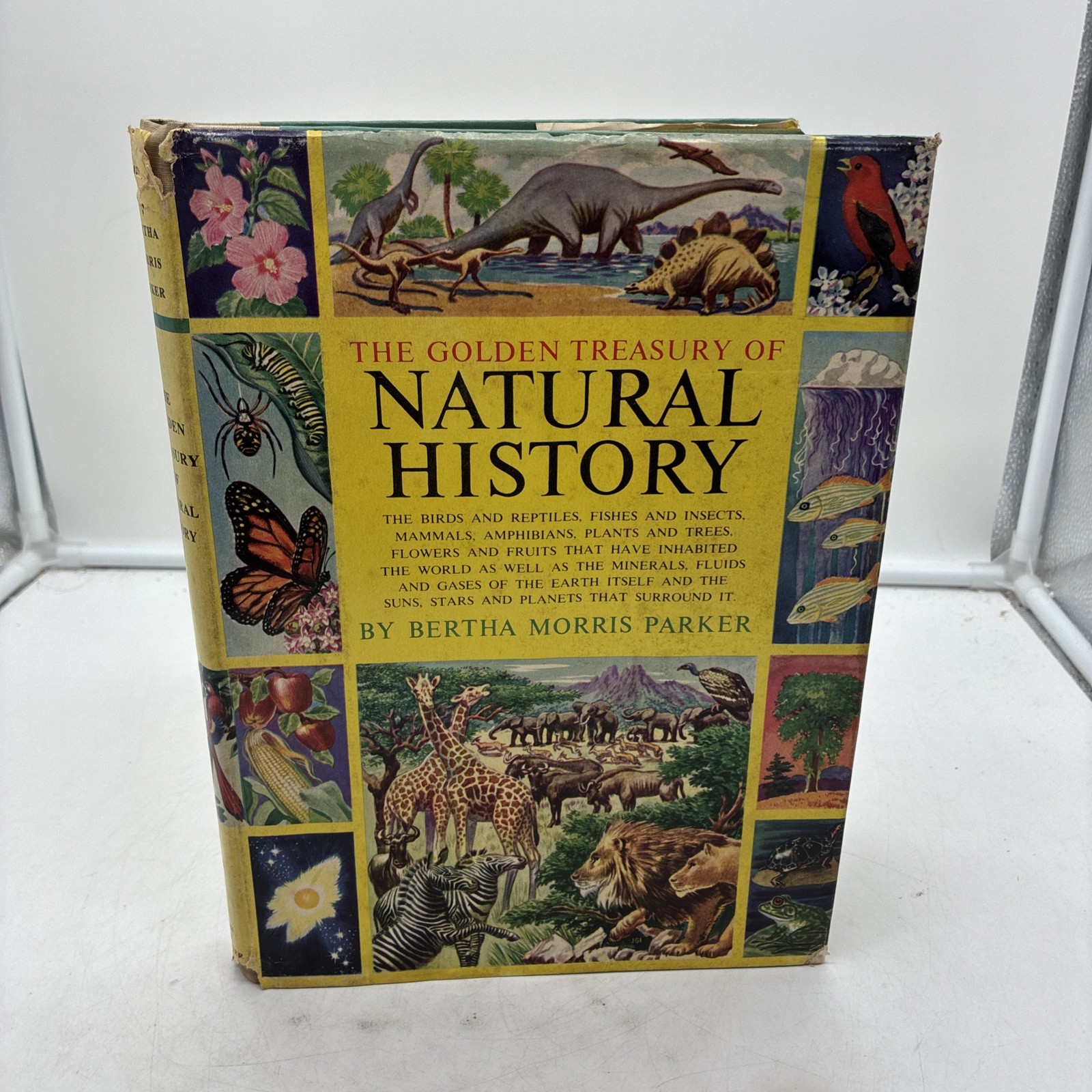 The Golden Treasury of Natural History by Bertha Morris Parket Golden Press DJ