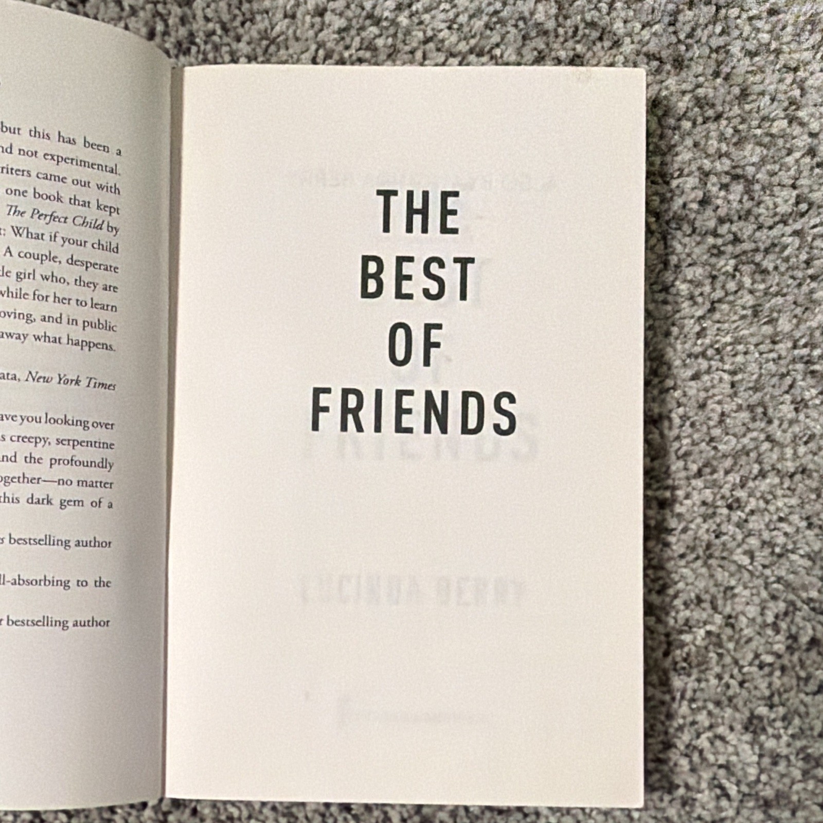 The Best of Friends by Lucinda Berry Paperback Fiction Novel Adult Friendship