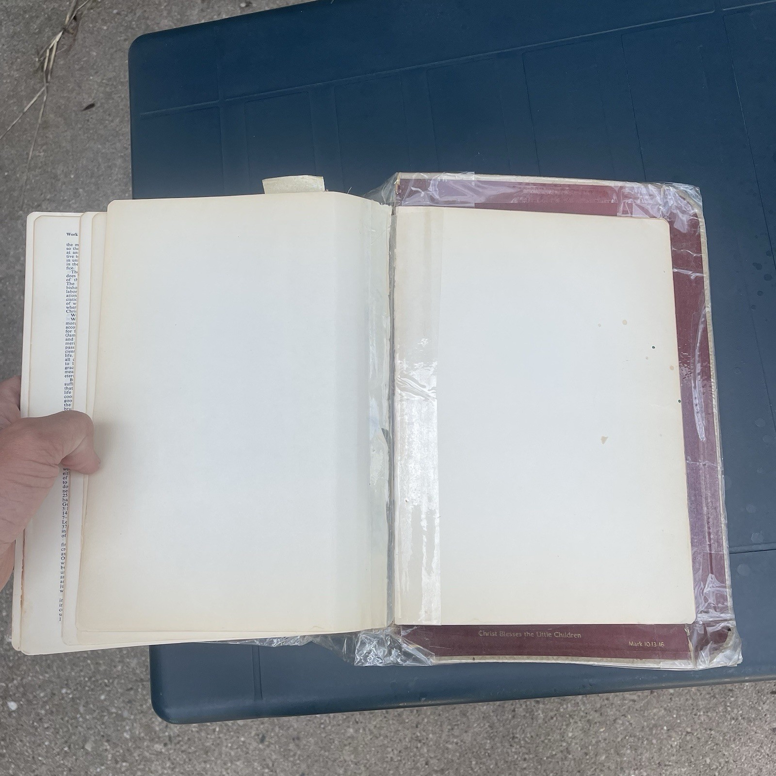 Vintage Holy Bible The Holy Angels Edition The Catholic Press 1963 White Large