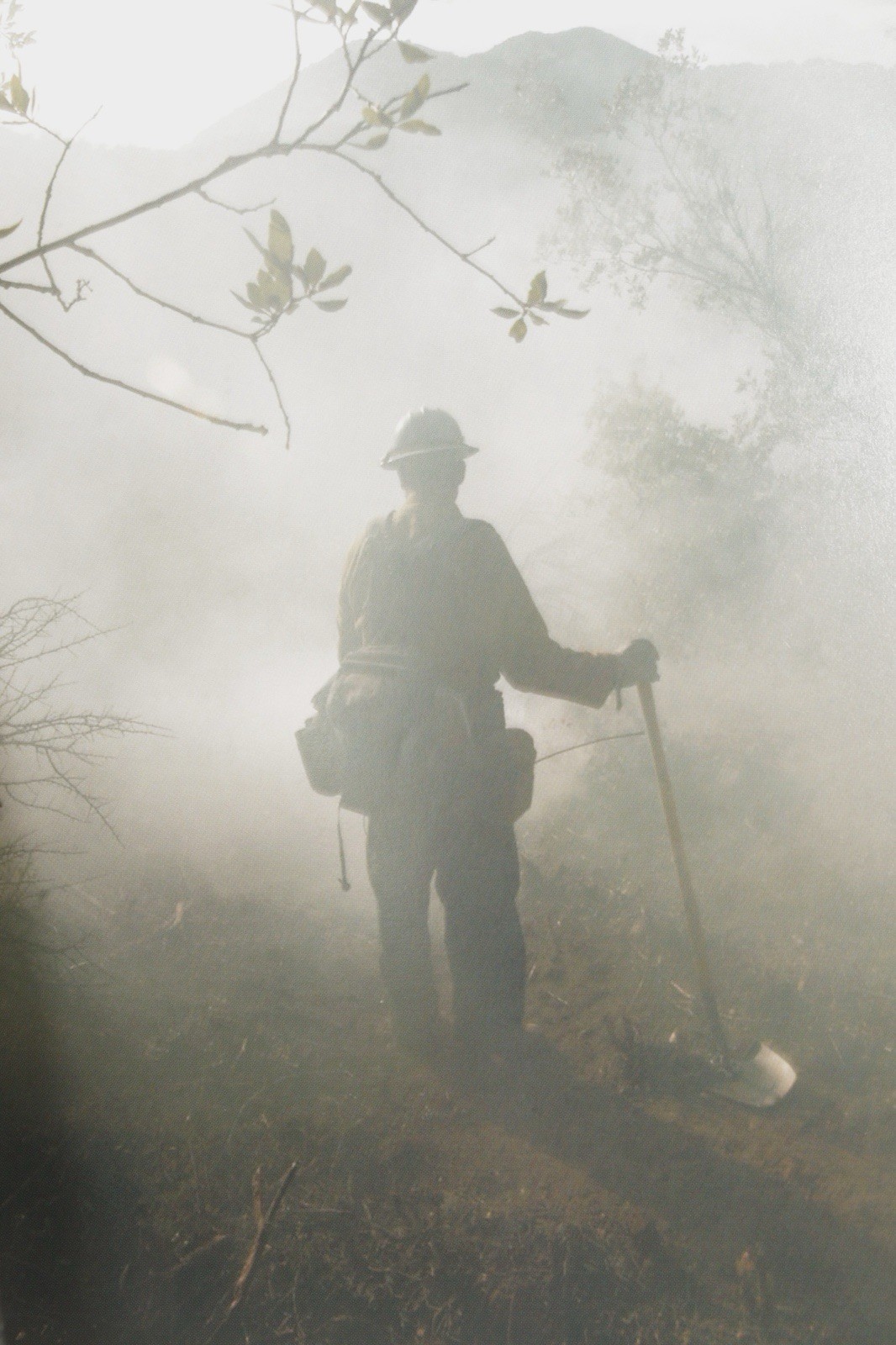 Firestorm 2003 San Diego Union Tribune Cedar Paradise Fire Wildfire Photos