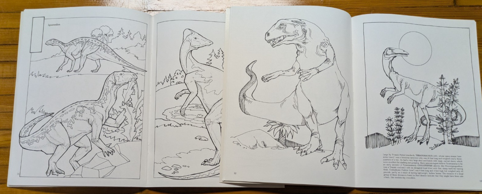 Dinosaur & Dinosaur ABC Coloring Book Dover Coloring Books Lot Nice