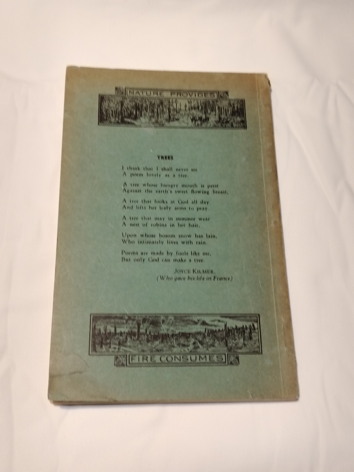 1950 Forest Trees of Oklahoma Guidebook Manual How To Know Them 135 Pages No. 7