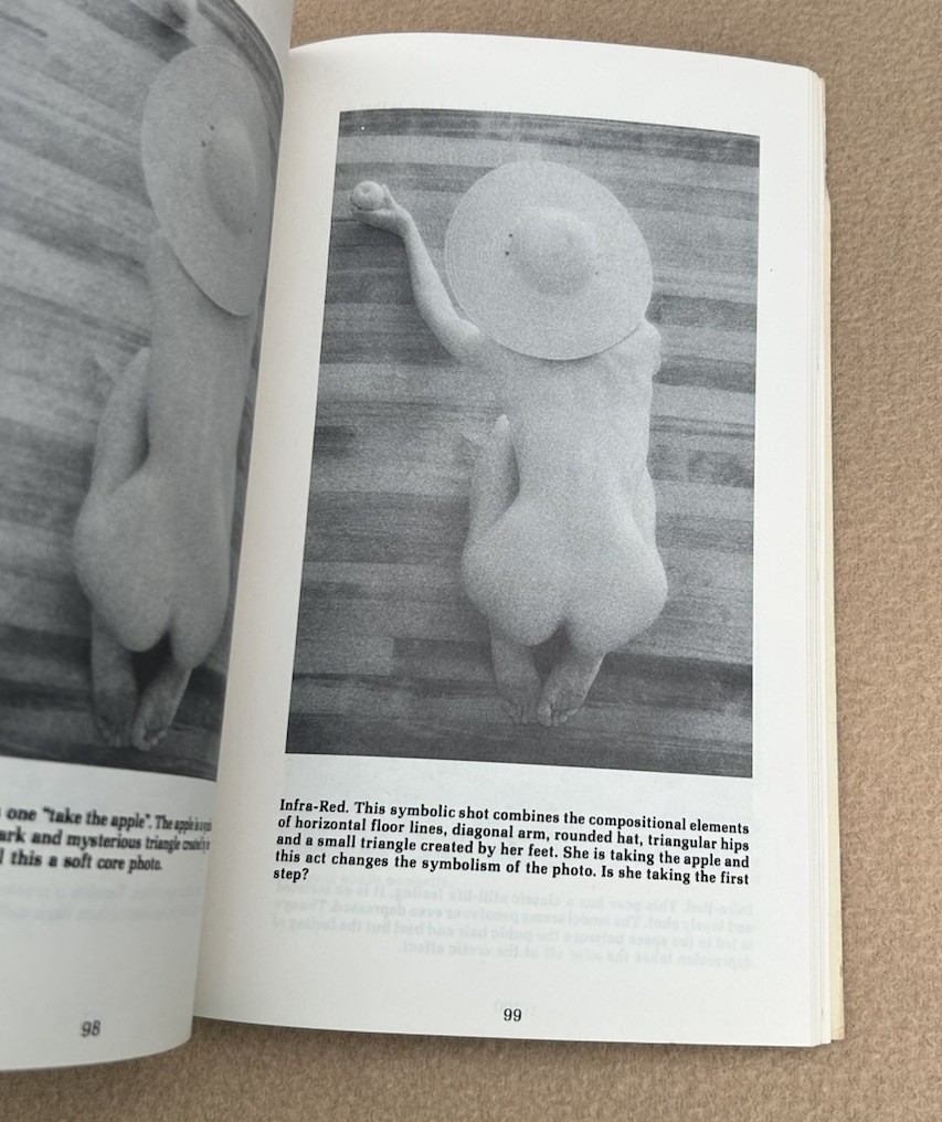 How To Take And Sell Erotic Photographs by Victor Wild Vintage 1981 1st Printing