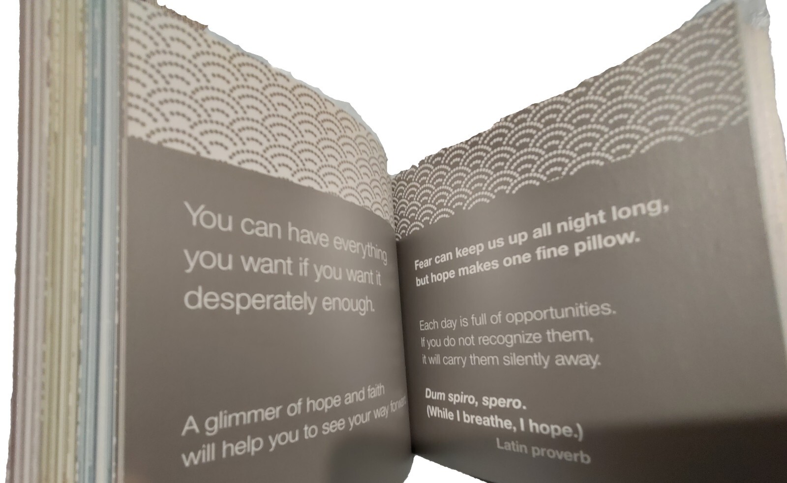 A Thousand Paths to Hope by Jane Garton: 466 Pages/Paths to Positivity of Hope