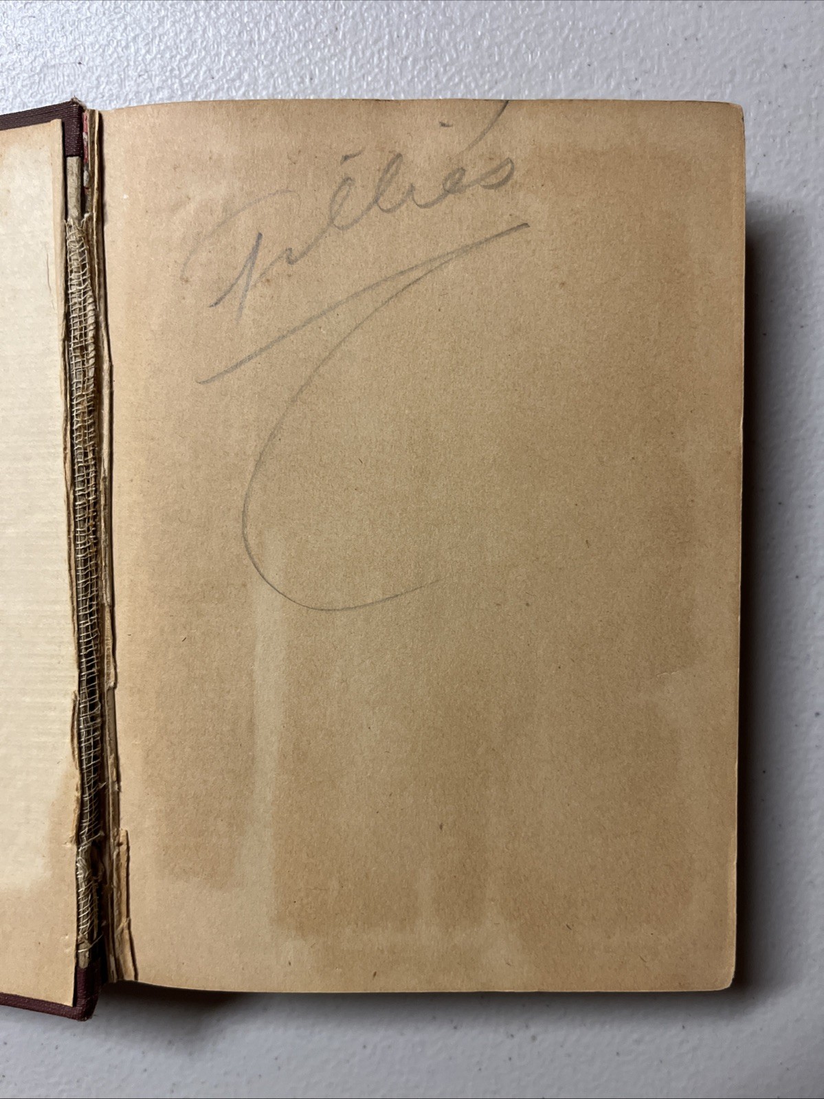 Mrs Joe’s Housekeeping Guide: First Aids for Every Known Household Use, 1909 HC