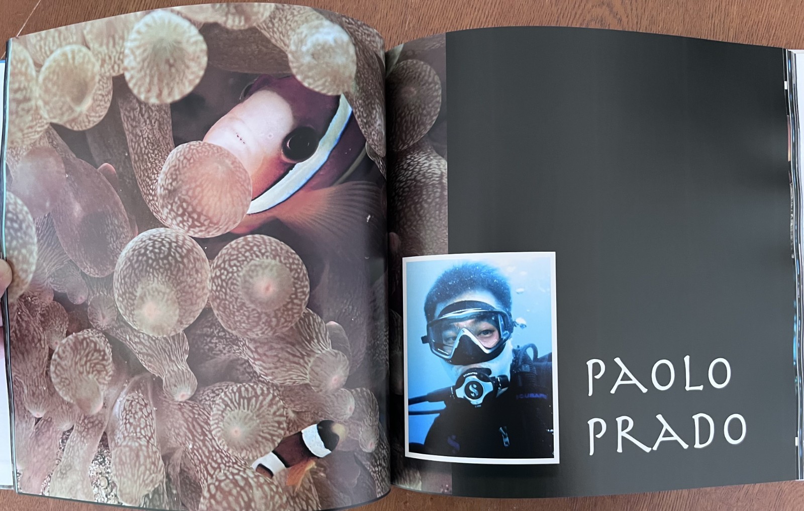Philippines Diving: Anilao Batangas Verde Island Passage Coral Reef Photography