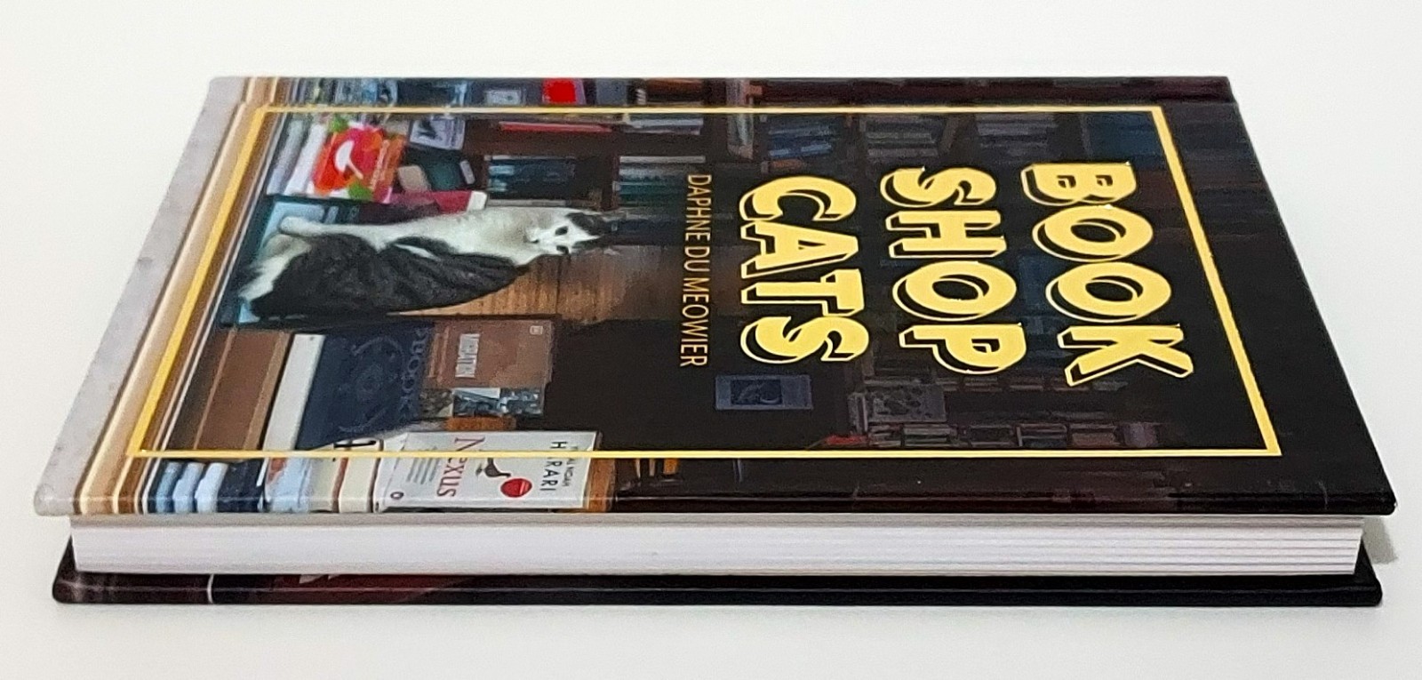 Bookshop Cats by Daphne du Maurier Hardcover Book Like New Literary Collection
