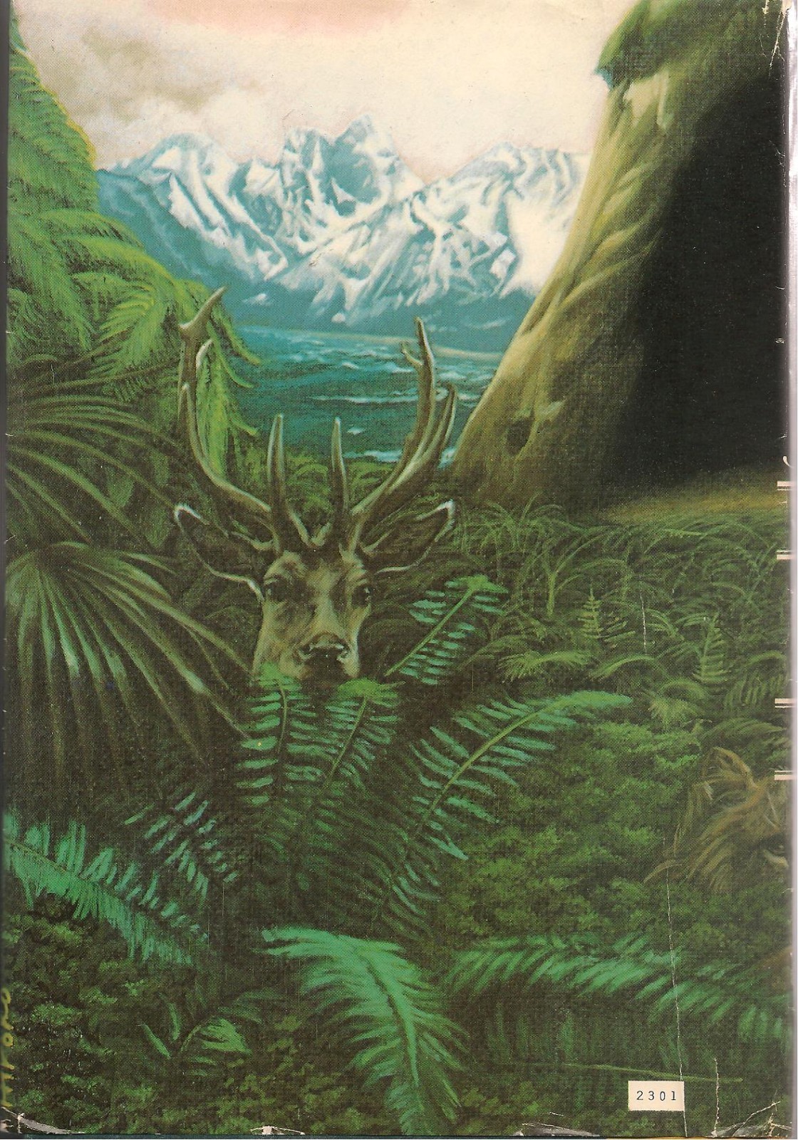 The Clan of the Cave Bear by Jean M. Auel (1980~HardcoverDJ~BCE)