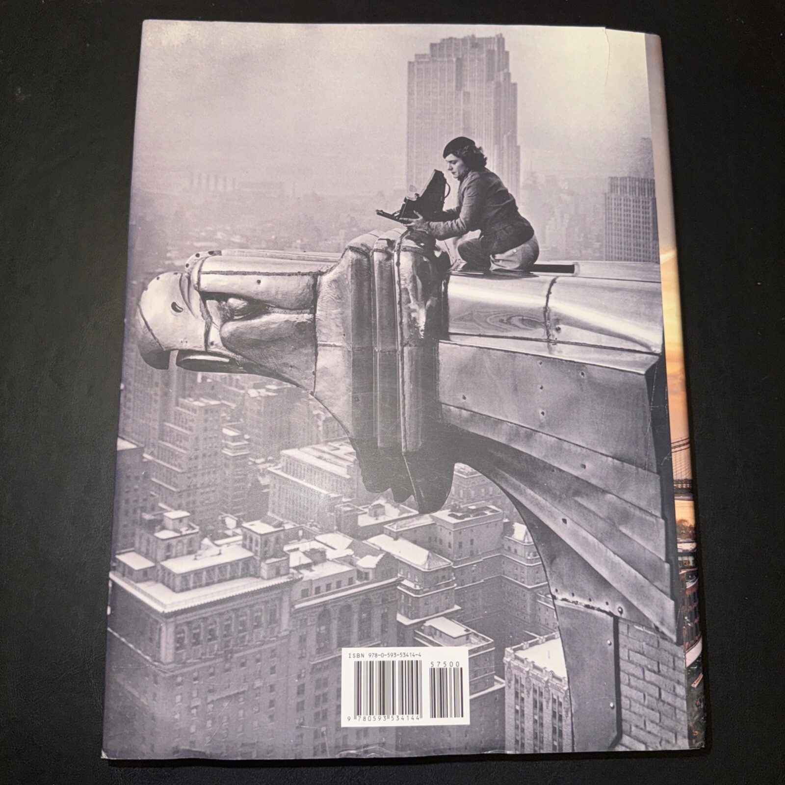 New York: An Illustrated History (Revised and Expanded) by
