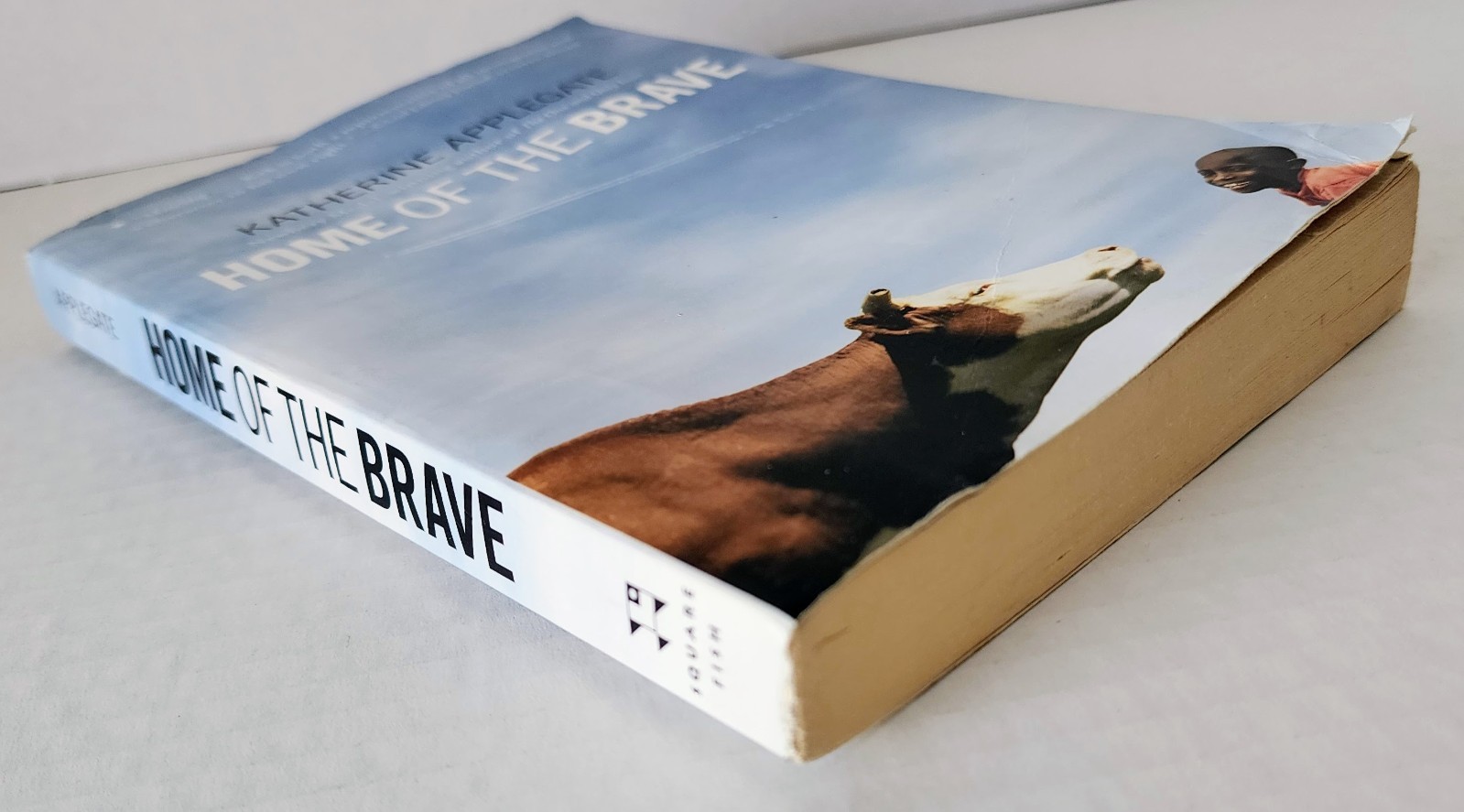 Home of the Brave Katherine Applegate PB 267 Pages Award Winning Novel