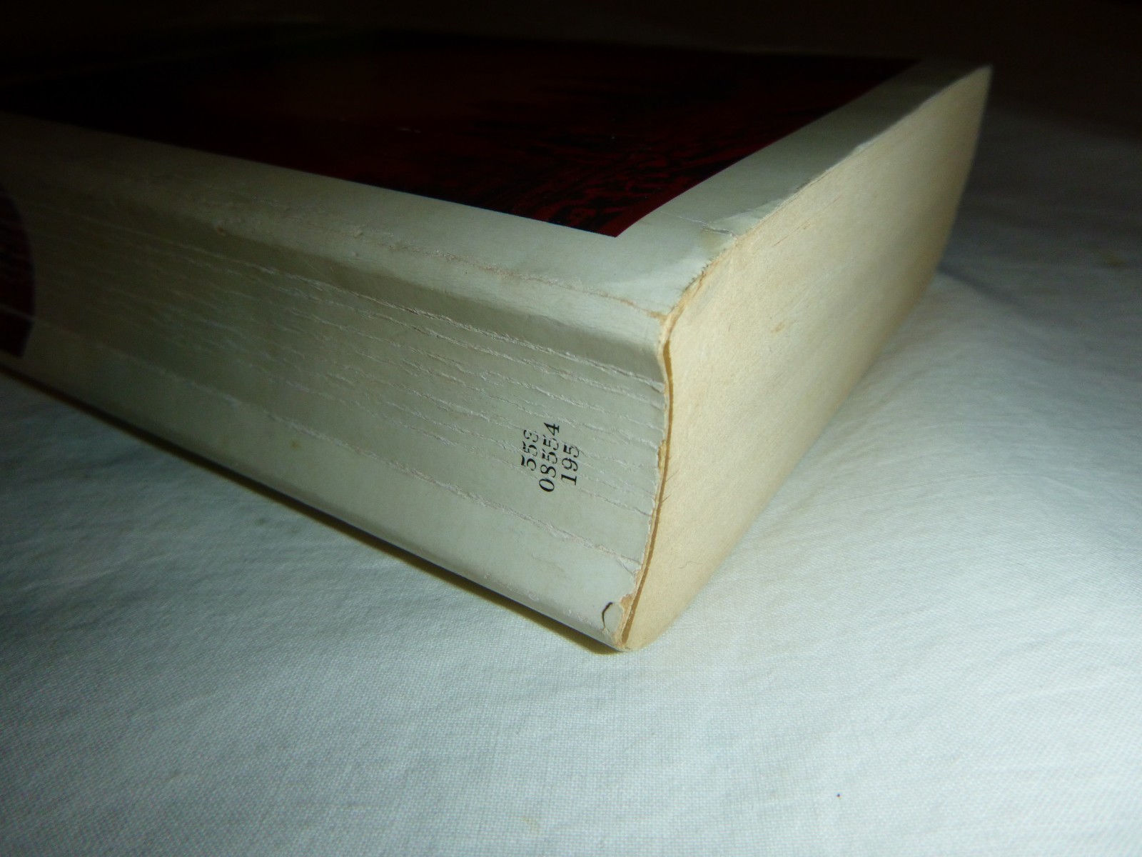 Dhalgren by Samuel R. Delany 1975 10th Printing Bantam Vintage Paperback