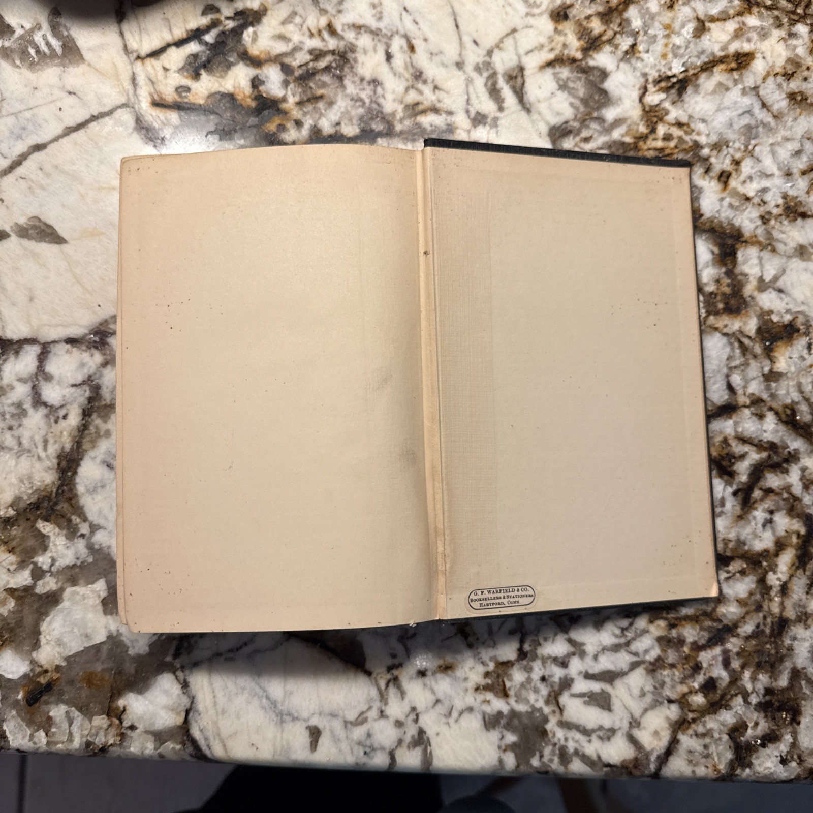 1927 The Life of Pastor Rene Gallery-Radot Hardcover Garden City Publishing Bio