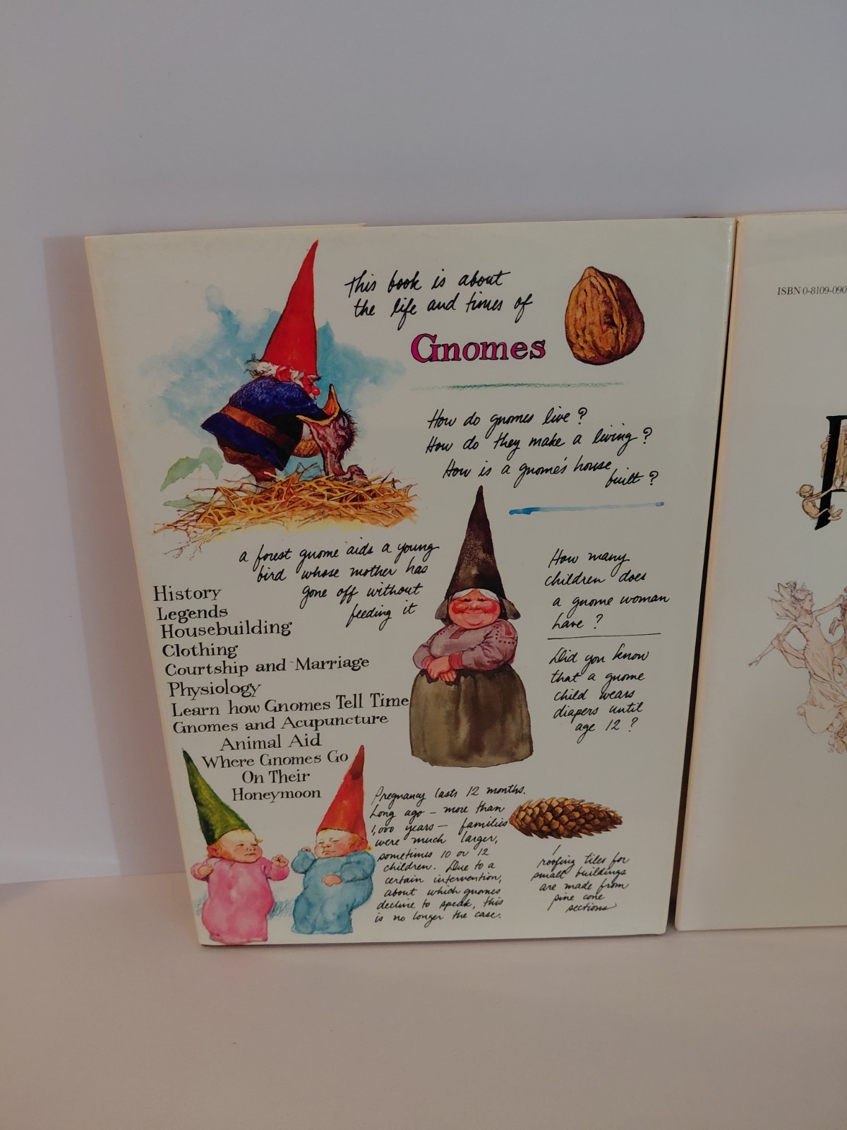 FAERIES Brian Froud Hardcover 1978 & 1979 Gnomes Huygen Illustrated Book Lot