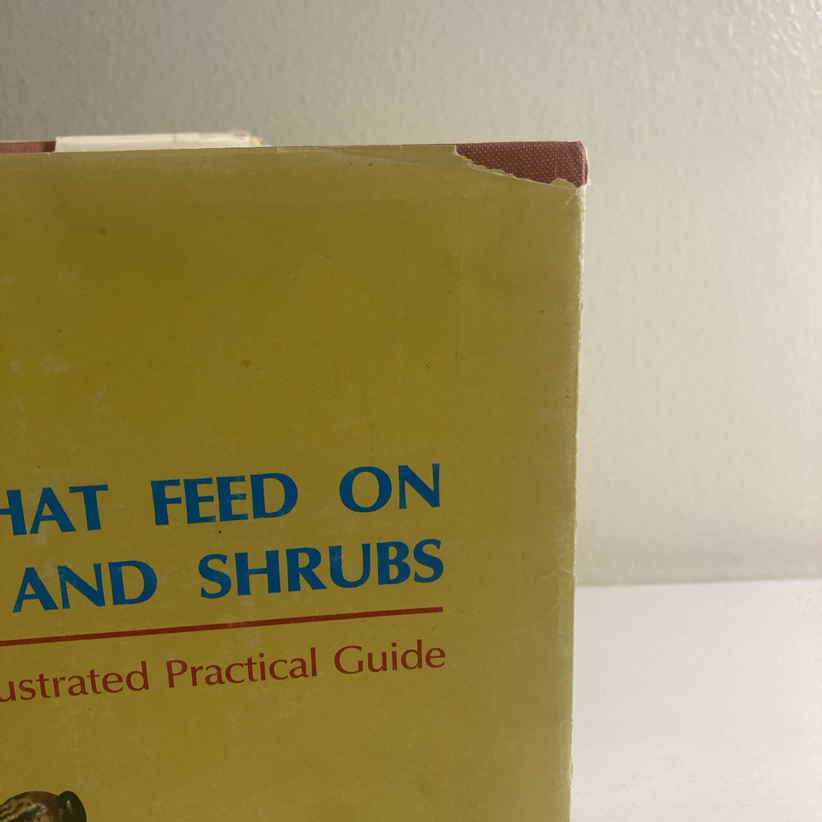 Insects That Feed On Trees and Shrubs by Warren Johnson + Howard H. Lyon HC/DJ