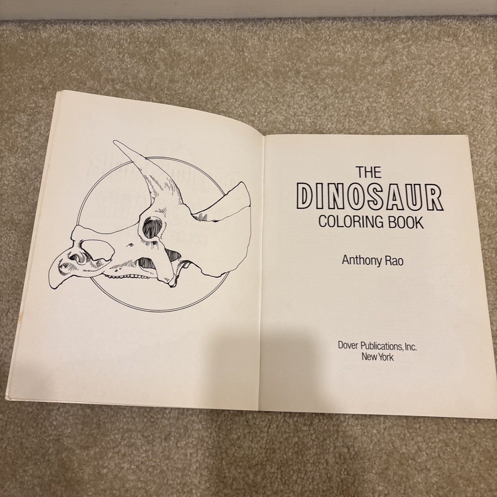 The Dinosaur Dover Coloring Book Paperback Anthony Rao Vintage 1980
