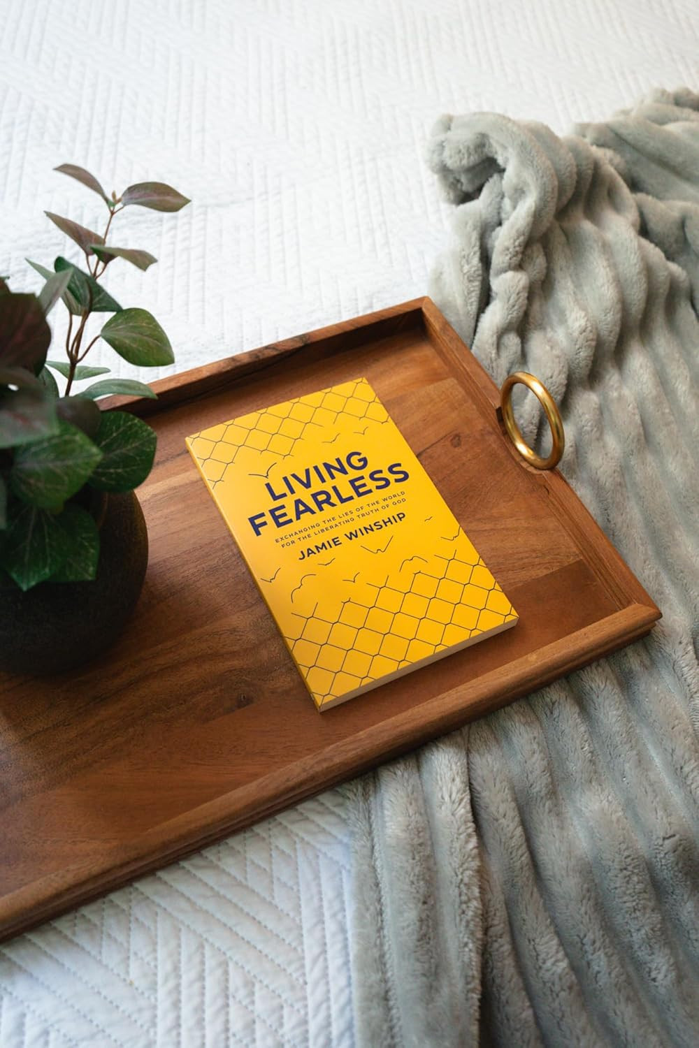 Living Fearless: Exchanging the Lies of the World for the Liberating Truth of Go